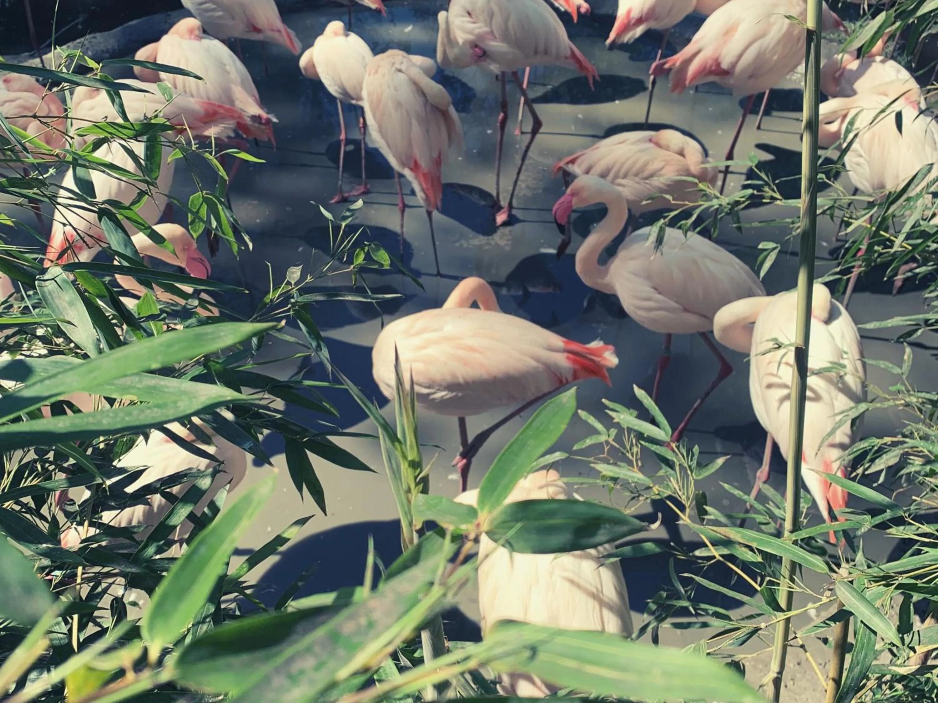 Nearby landmark in Holiday Inn - Salzburg City by IHG