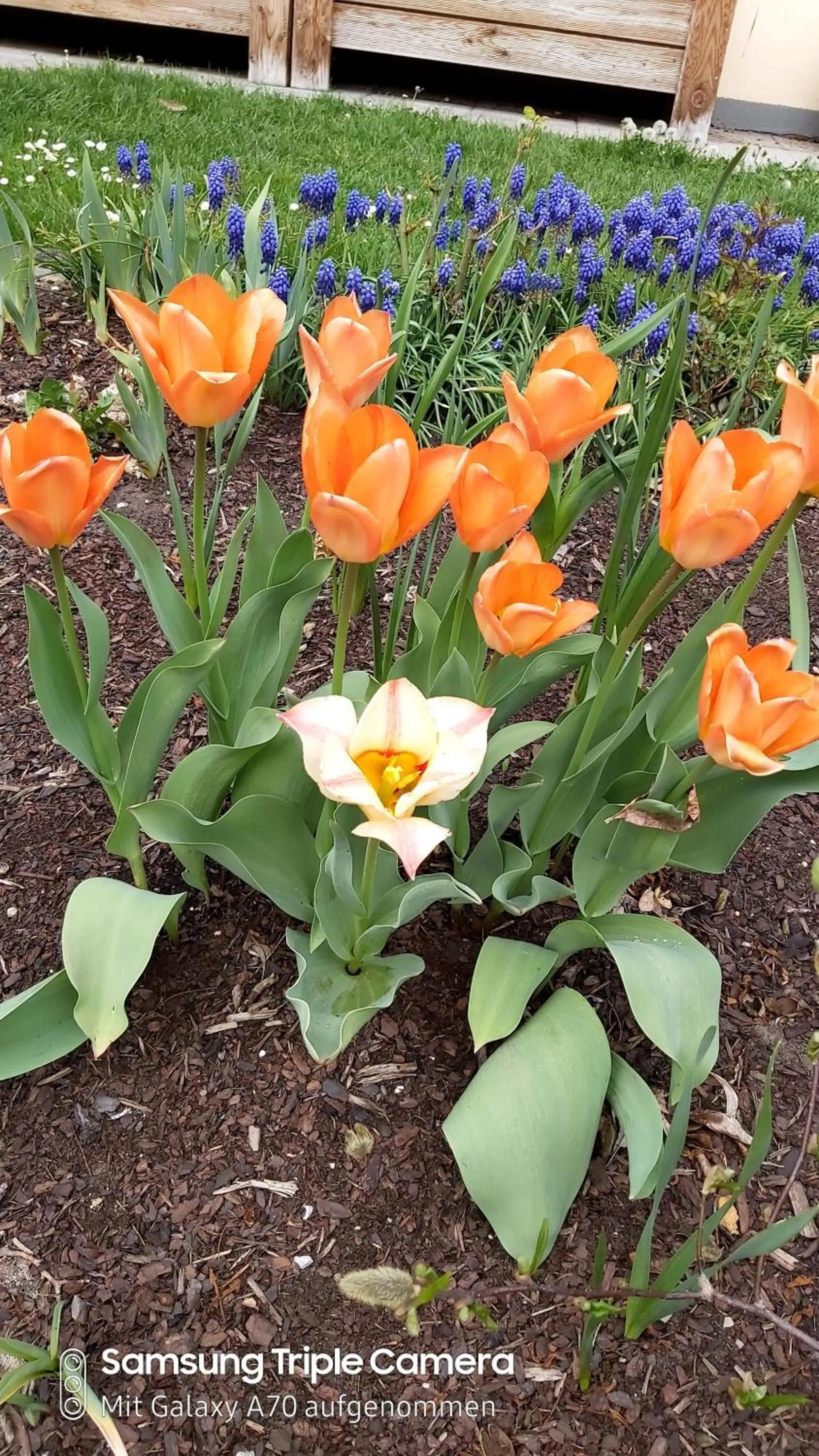 Spring in das Christophorus