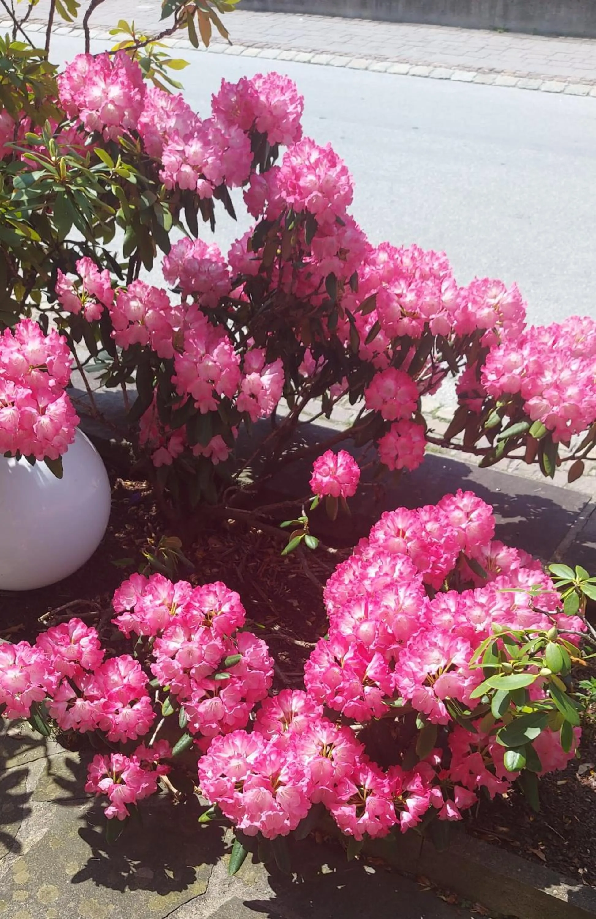 Garden in das Christophorus