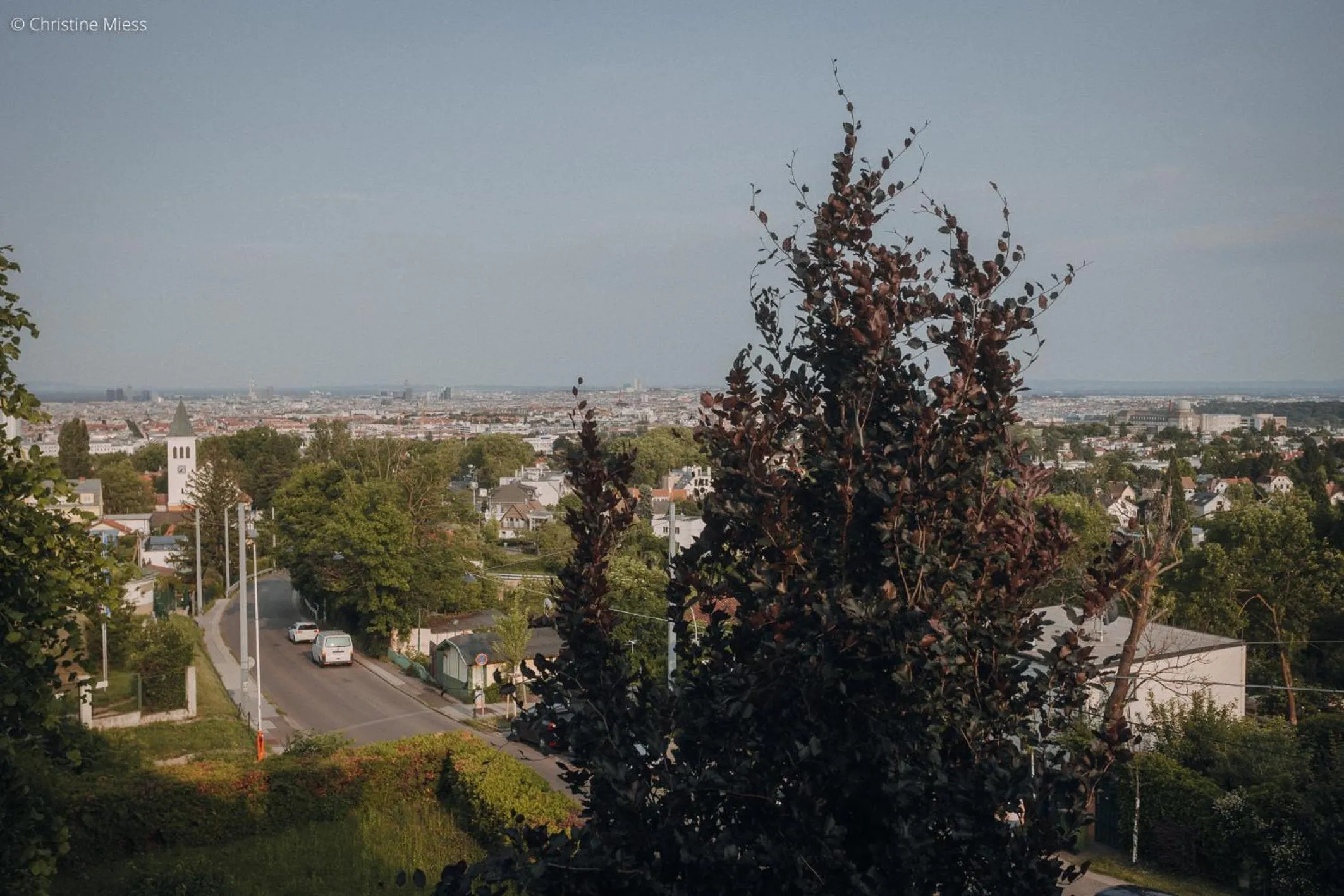 Property building in Bio-Hotel Schani Wienblick