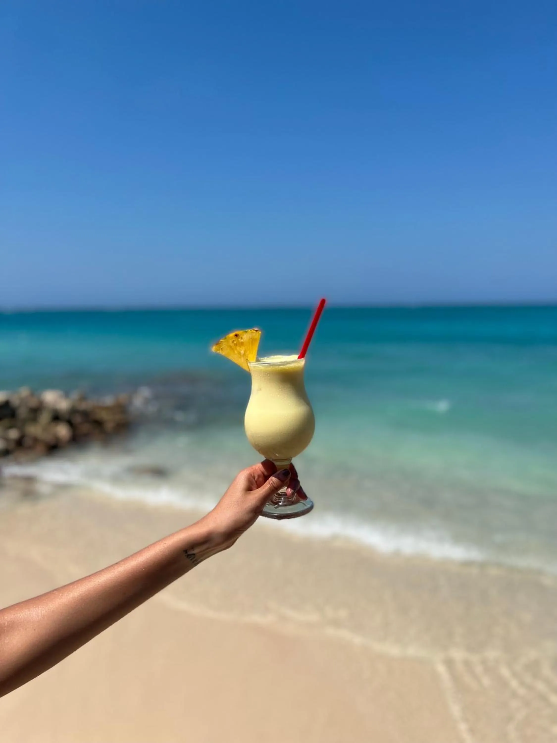 Beach in Rosario EcoHotel