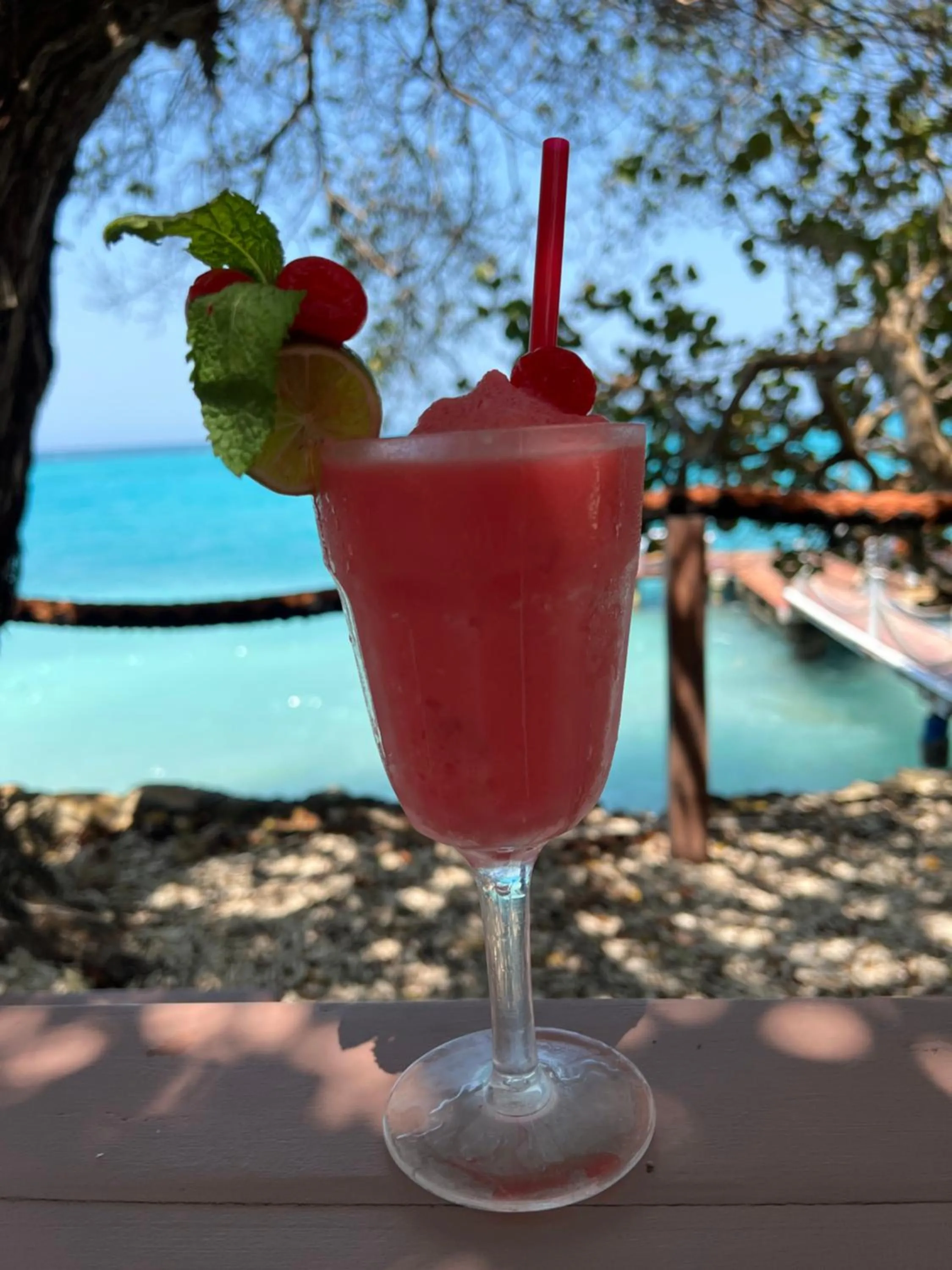 Drinks in Rosario EcoHotel