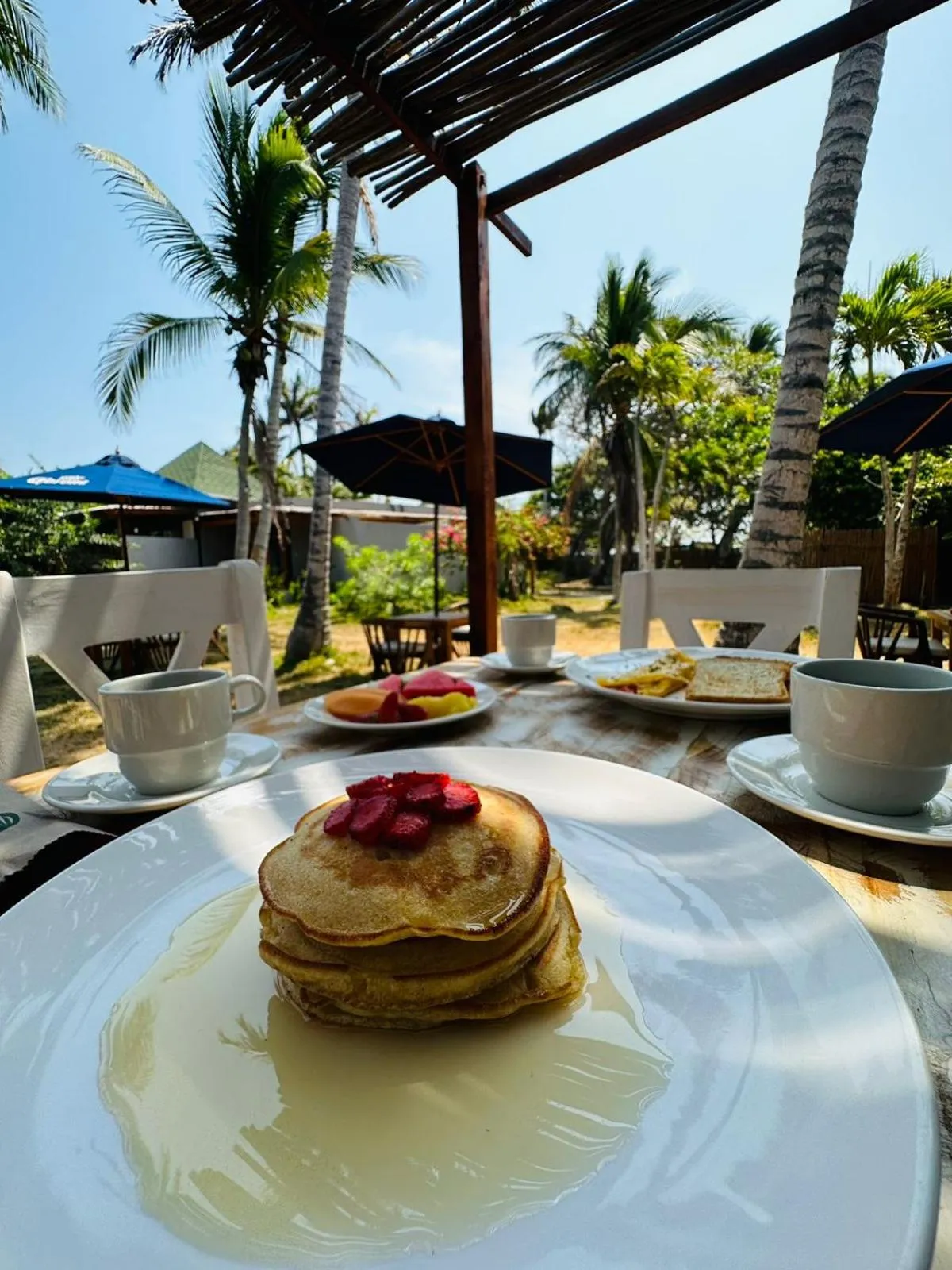 Patio in Rosario EcoHotel