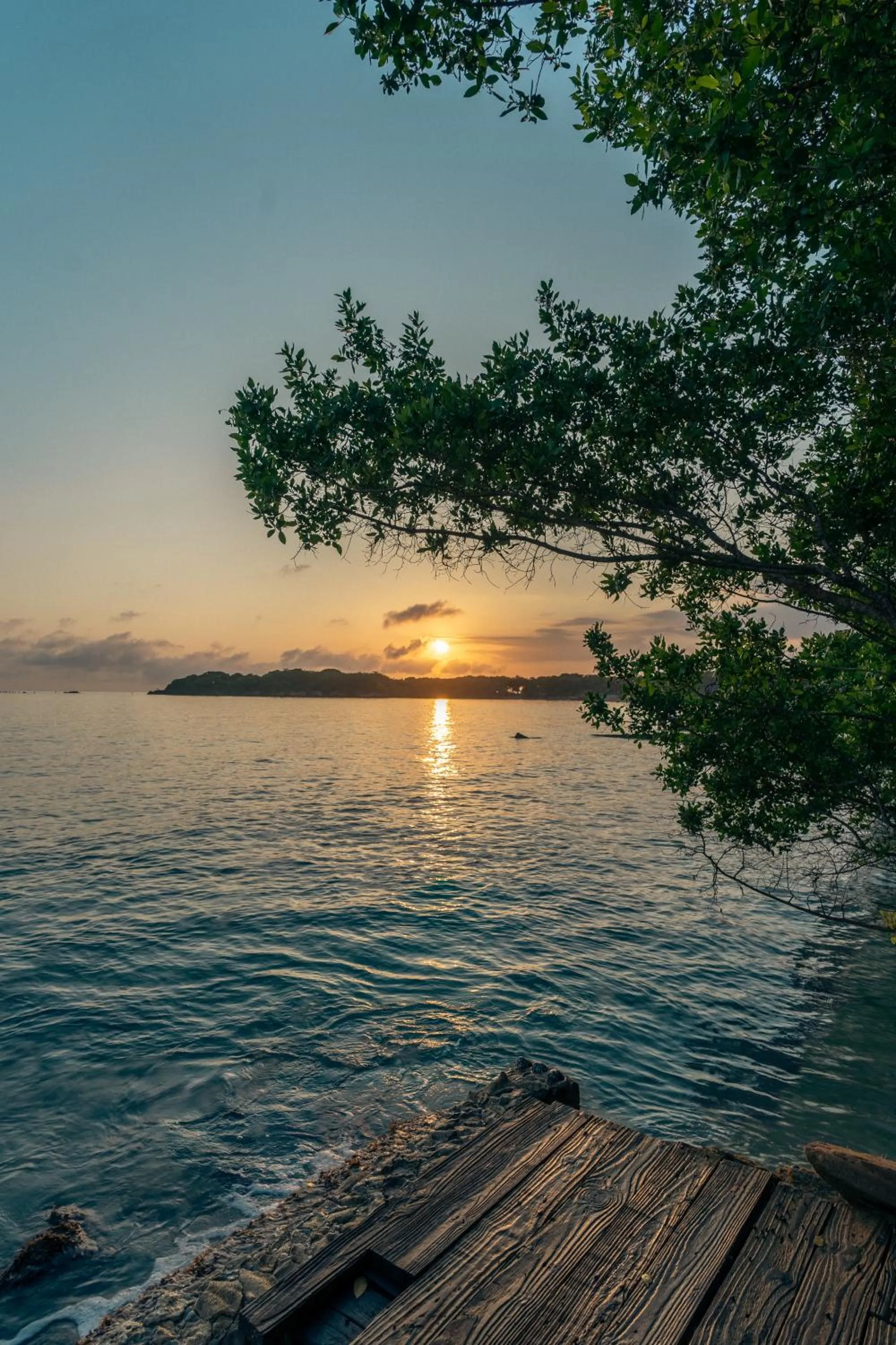 Natural landscape in Rosario EcoHotel