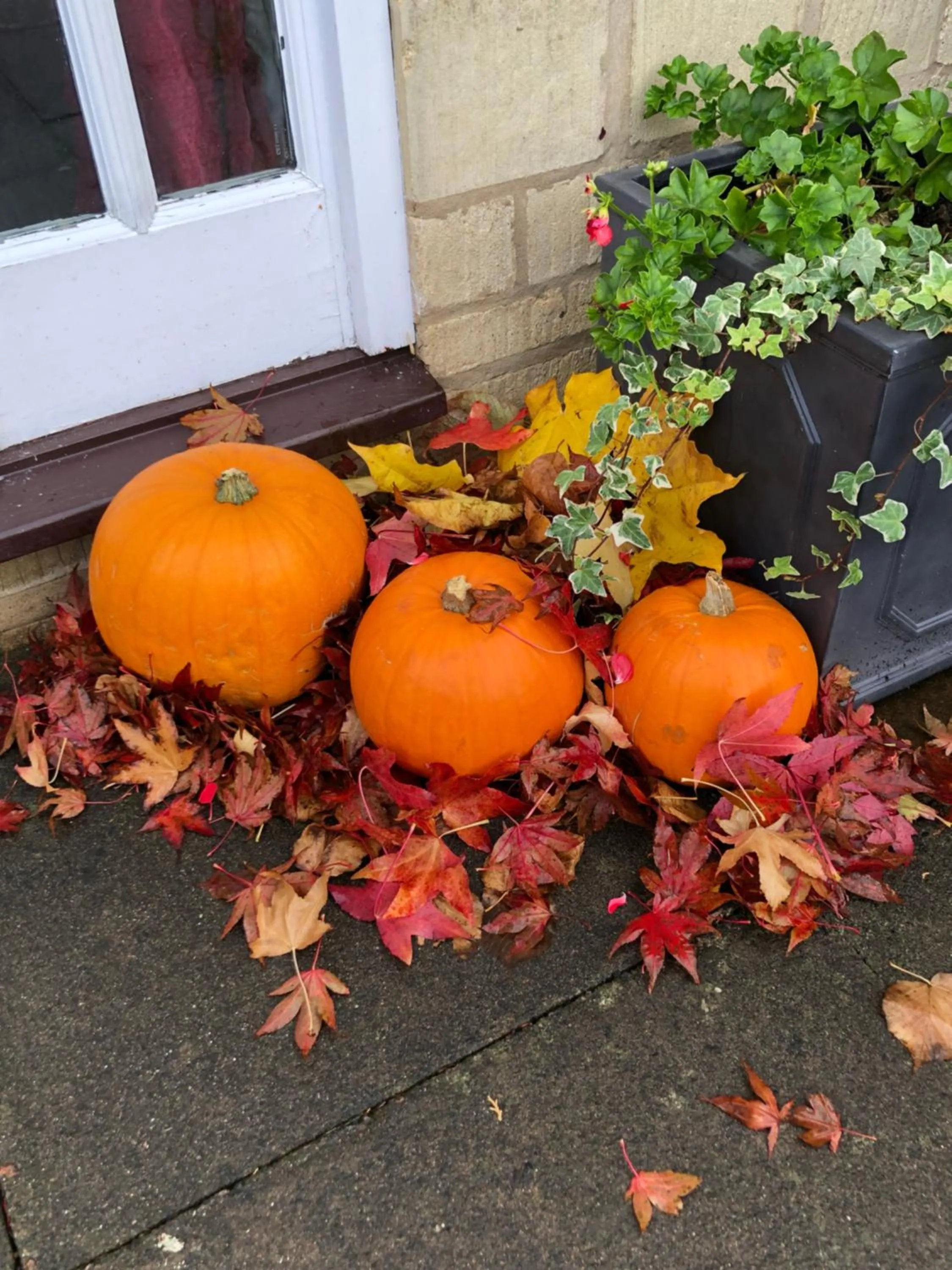 Property building in Cornerways B&B