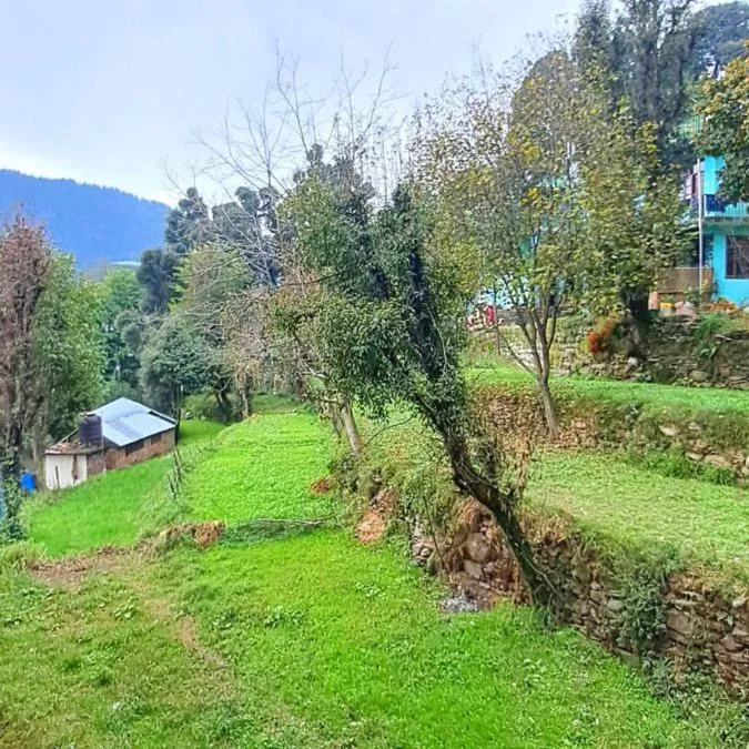 Garden in Sunrise House