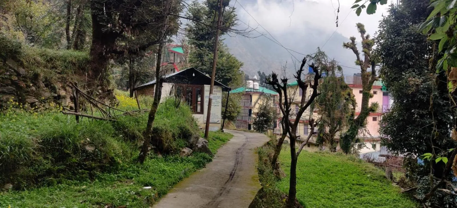 Garden in Sunrise House