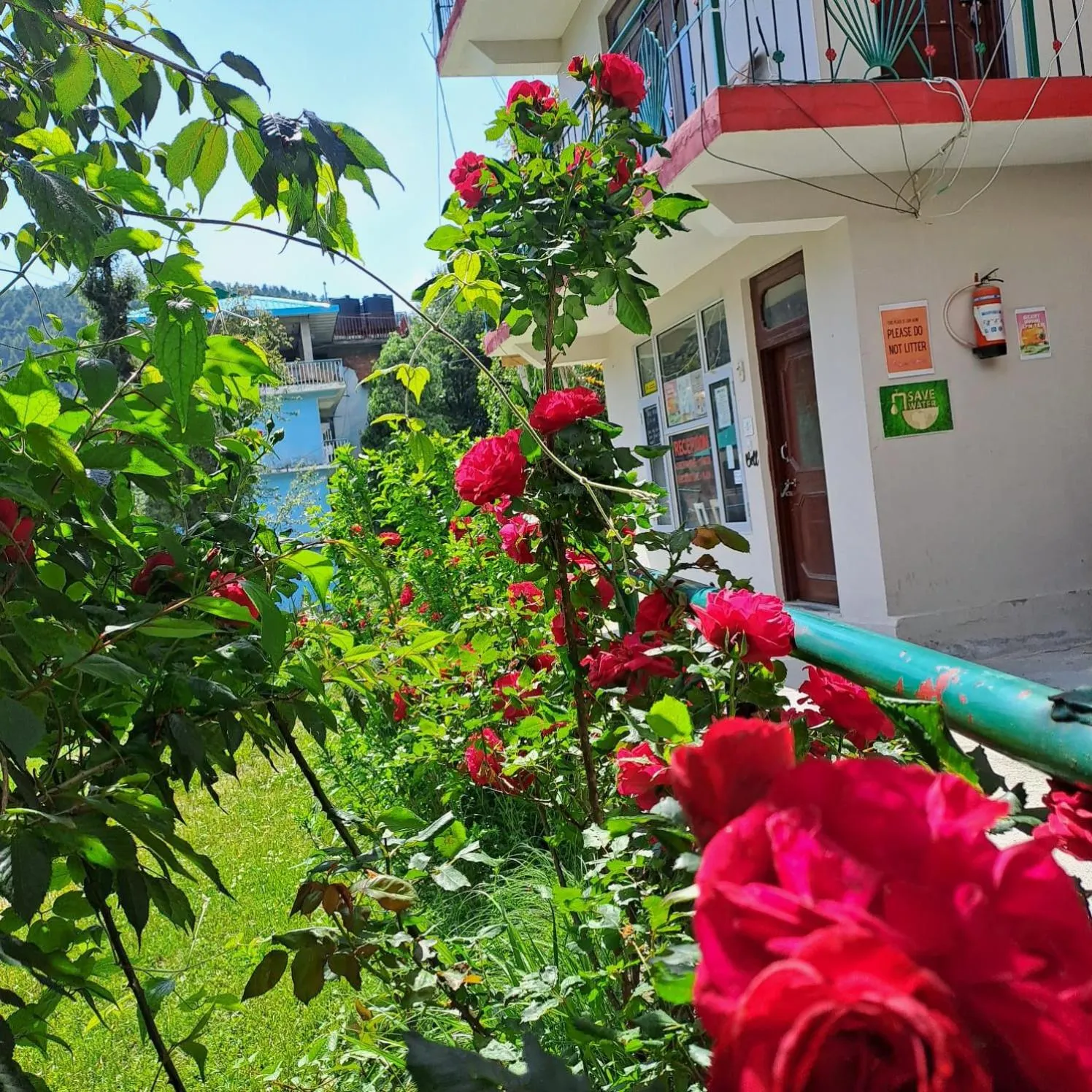 Property building in Sunrise House