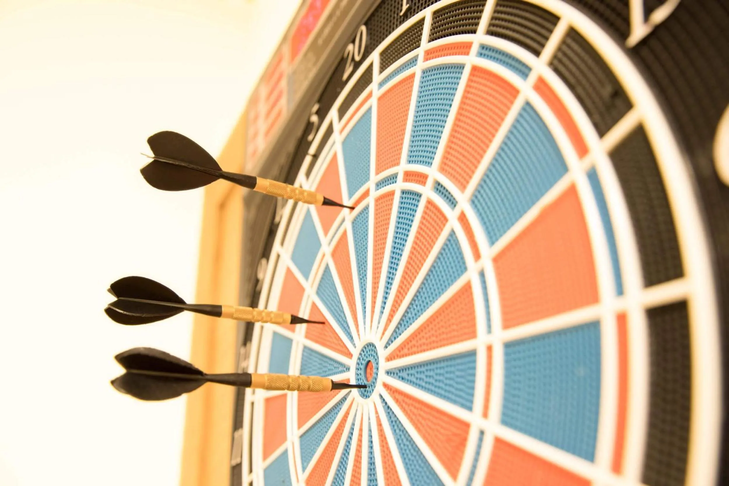 Darts in Hotel Pension Sonnleiten