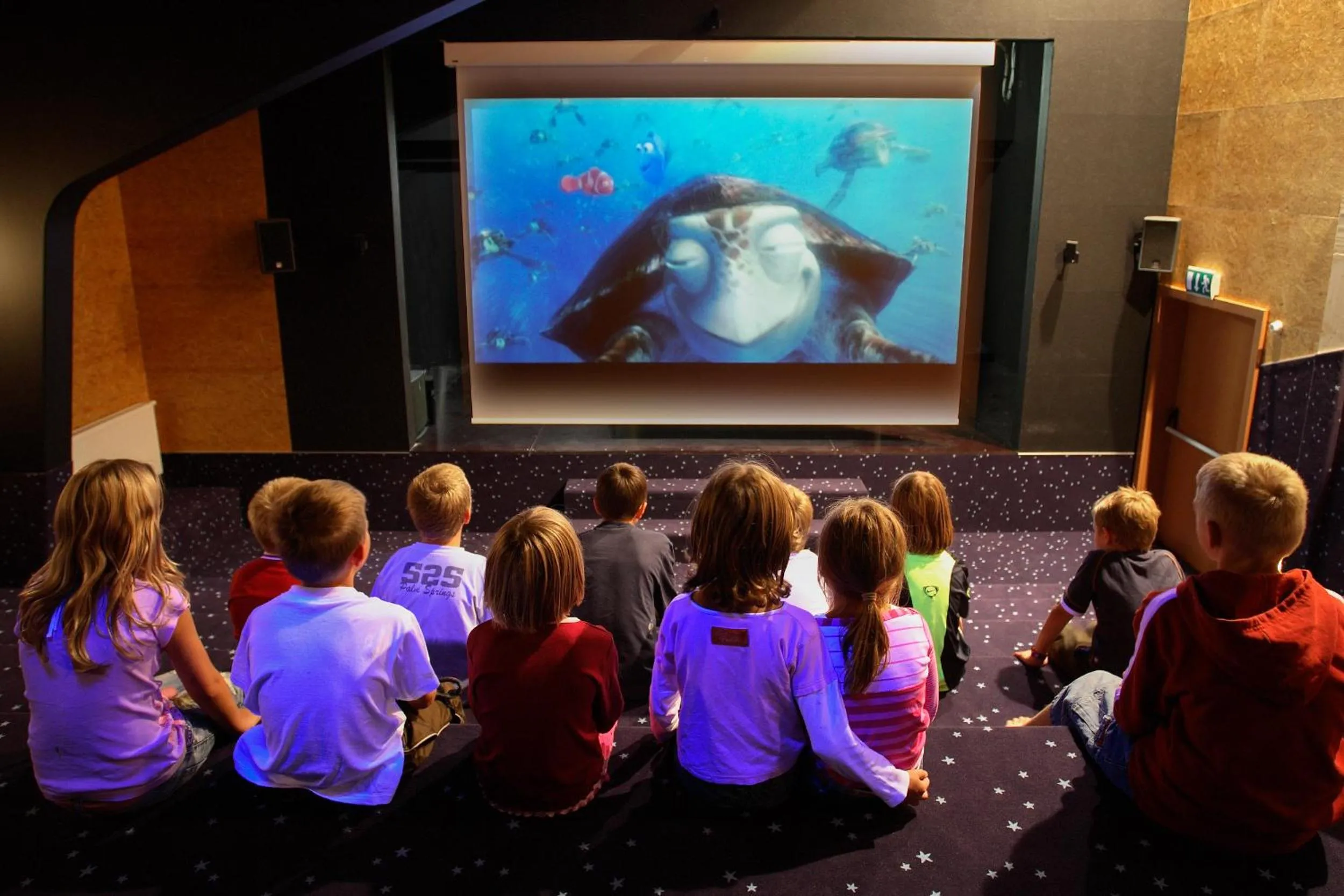 Entertainment in Hotel Pension Sonnleiten