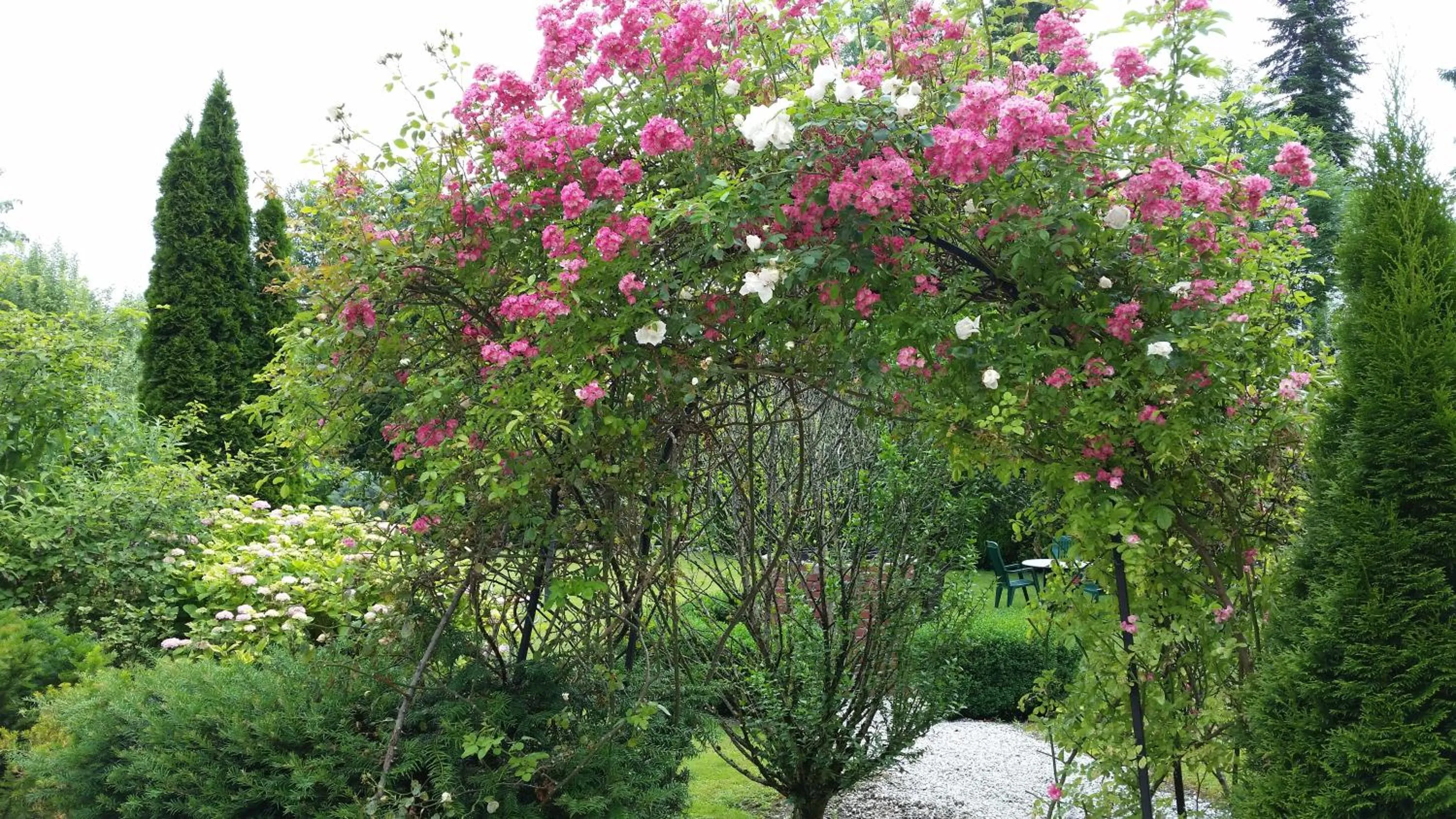 Garden in Hotel Via Roma