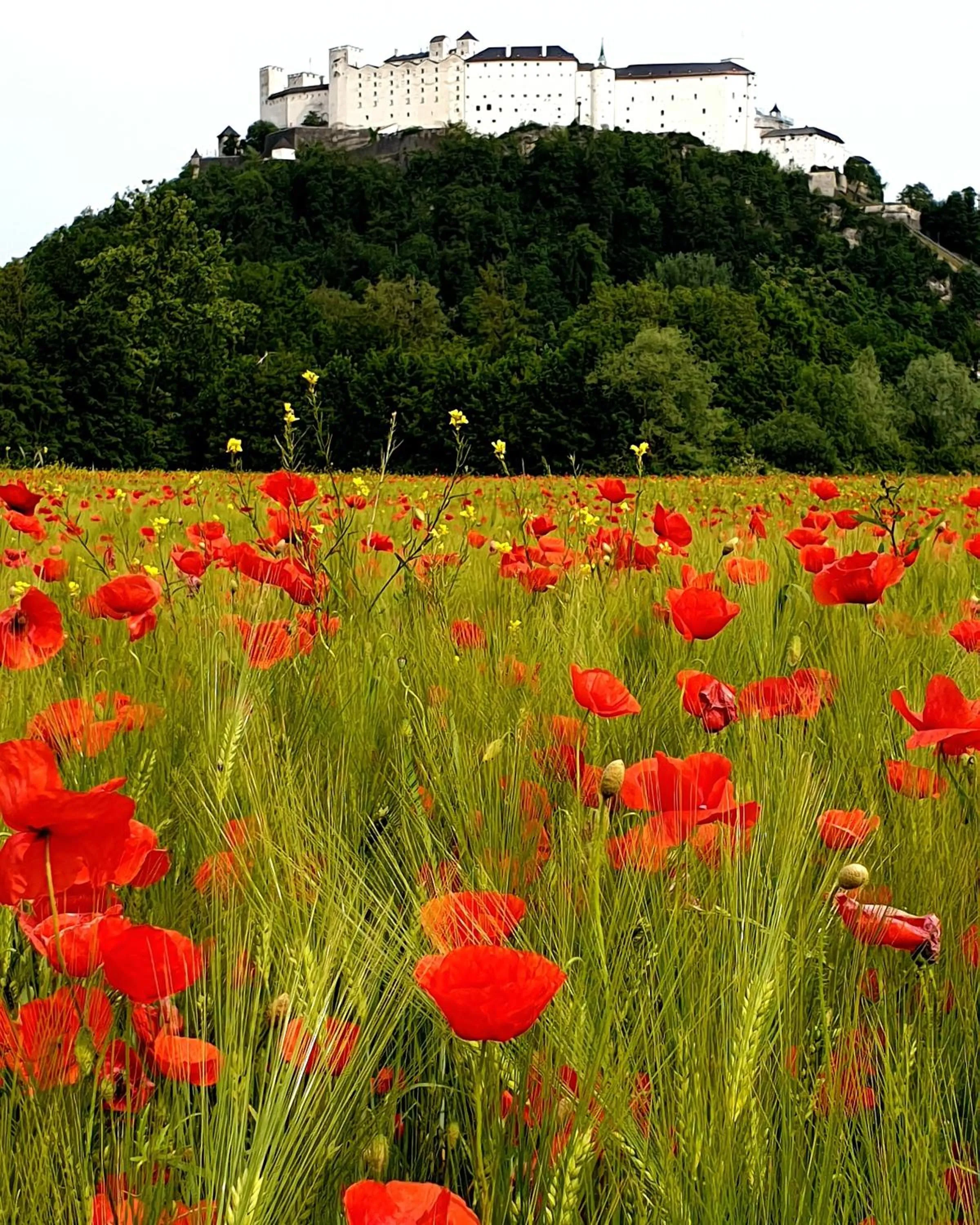 Nearby landmark in Hotel Via Roma
