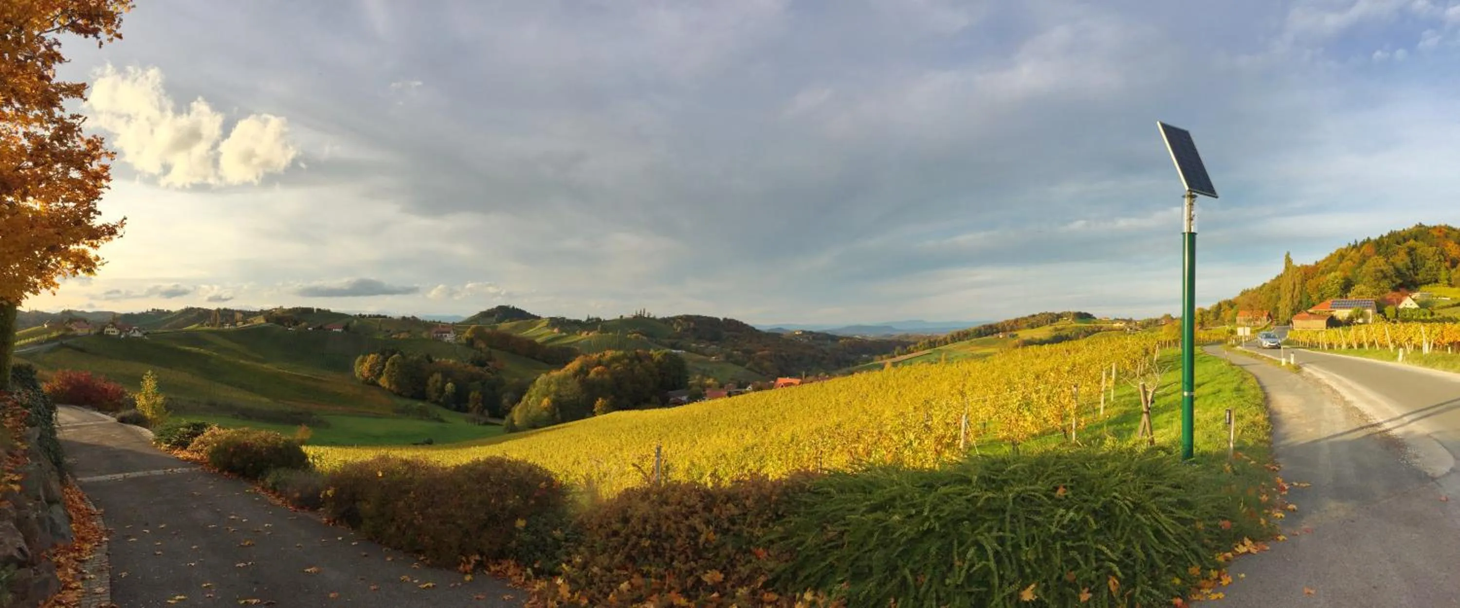 Natural landscape in Hotel am Marktplatz - Landgasthof Wratschko - Gamlitz