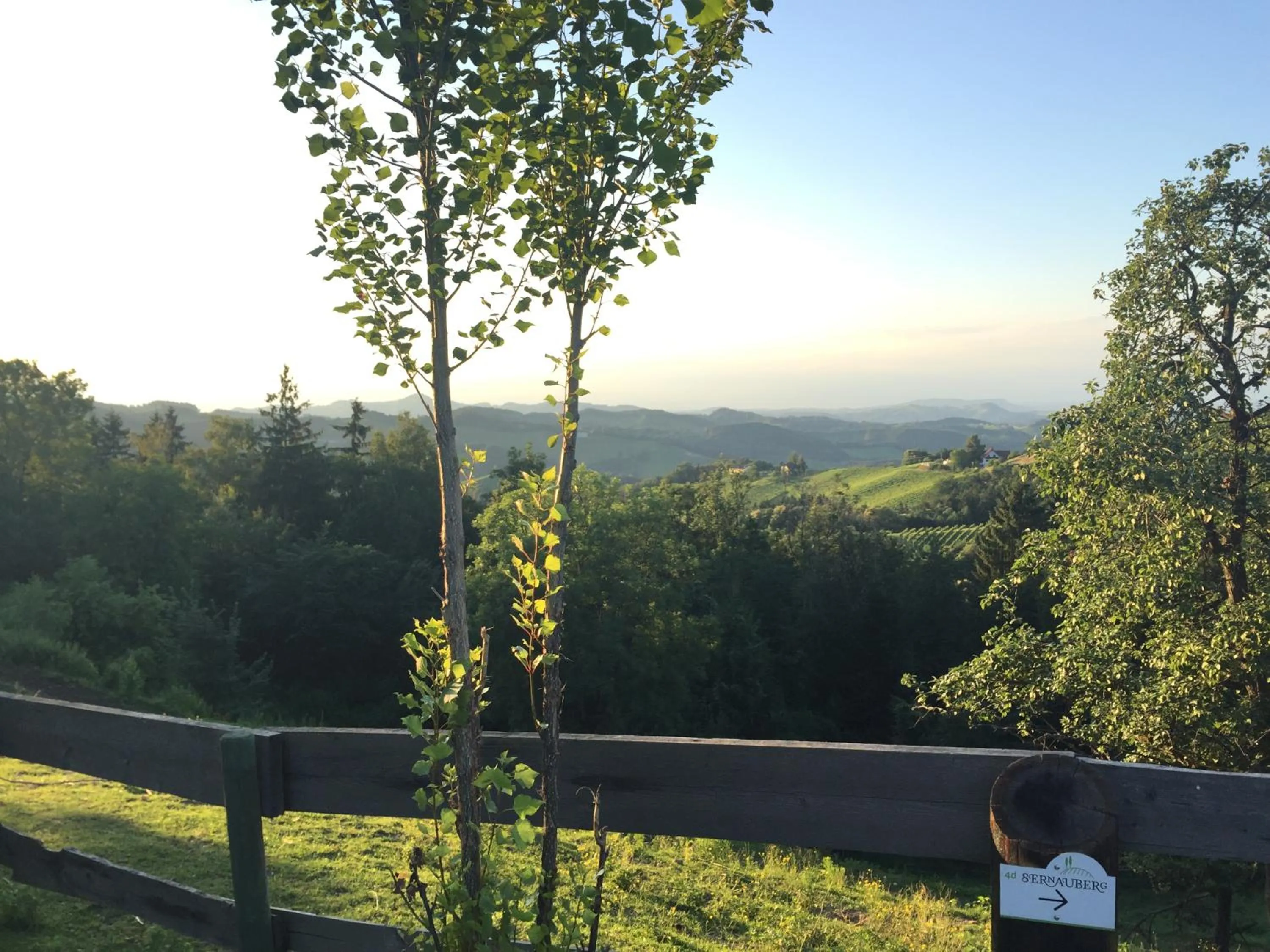 Neighbourhood in Hotel am Marktplatz - Landgasthof Wratschko - Gamlitz