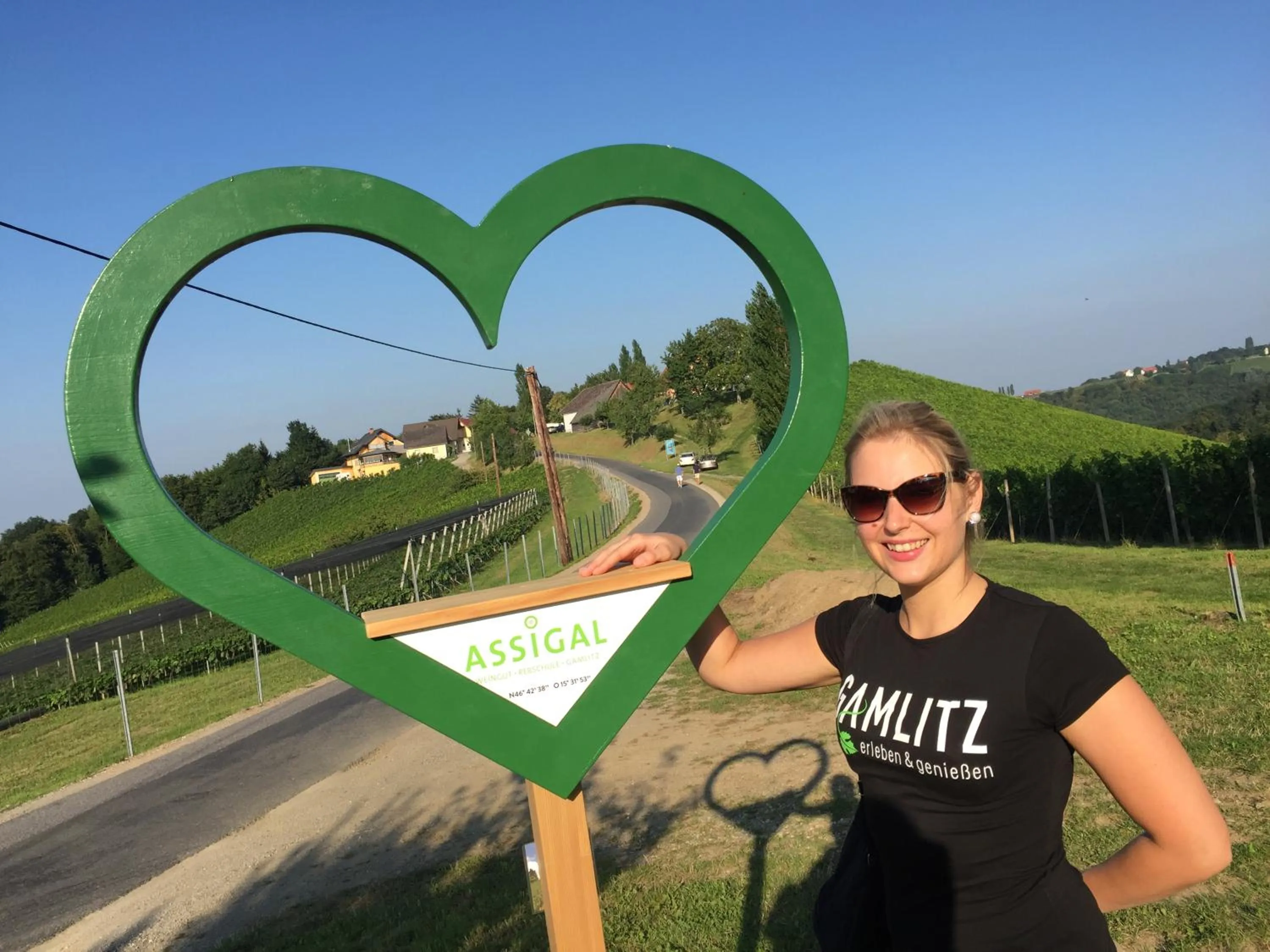 Natural landscape in Hotel am Marktplatz - Landgasthof Wratschko - Gamlitz