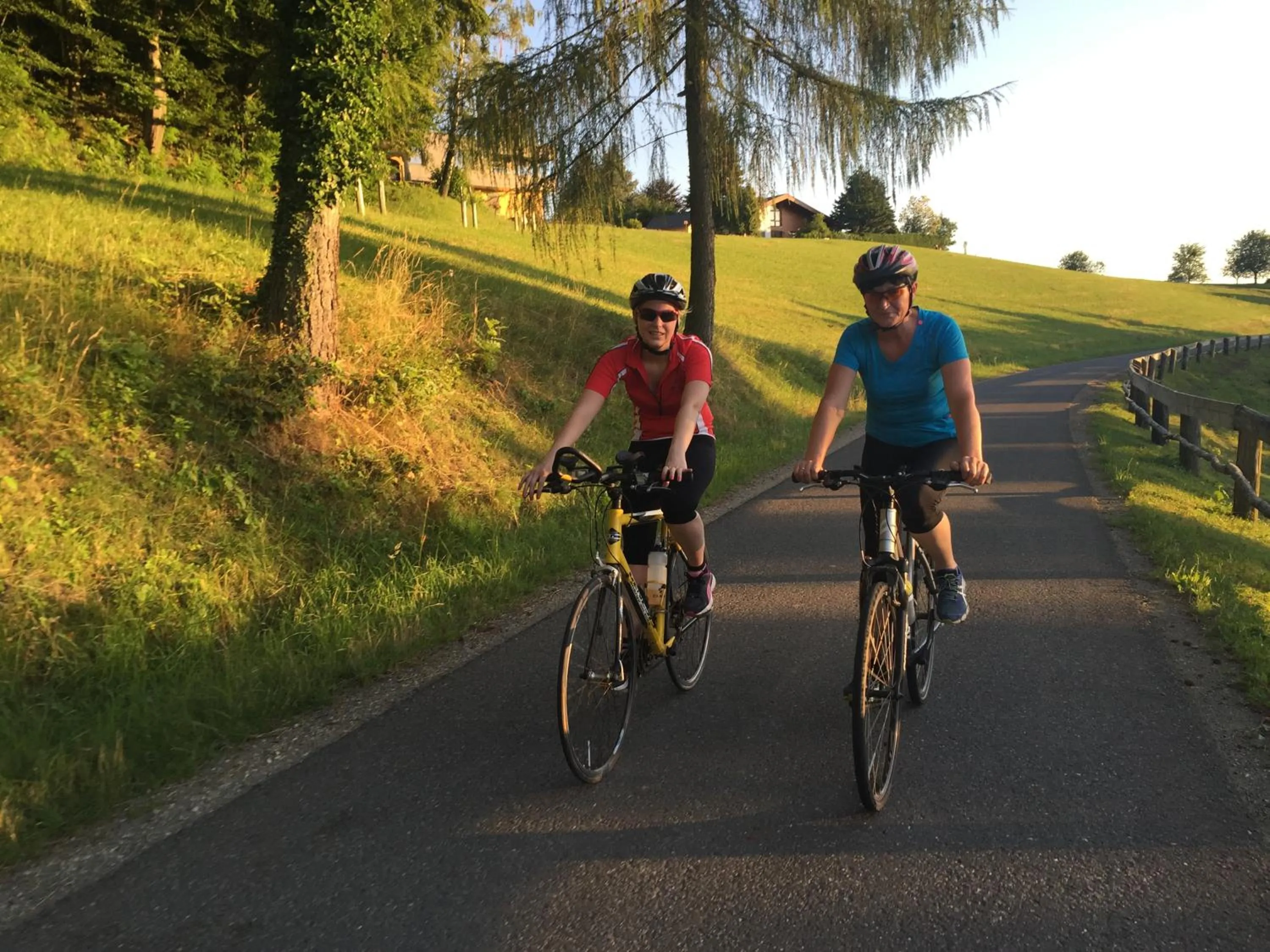 Hiking in Hotel am Marktplatz - Landgasthof Wratschko - Gamlitz