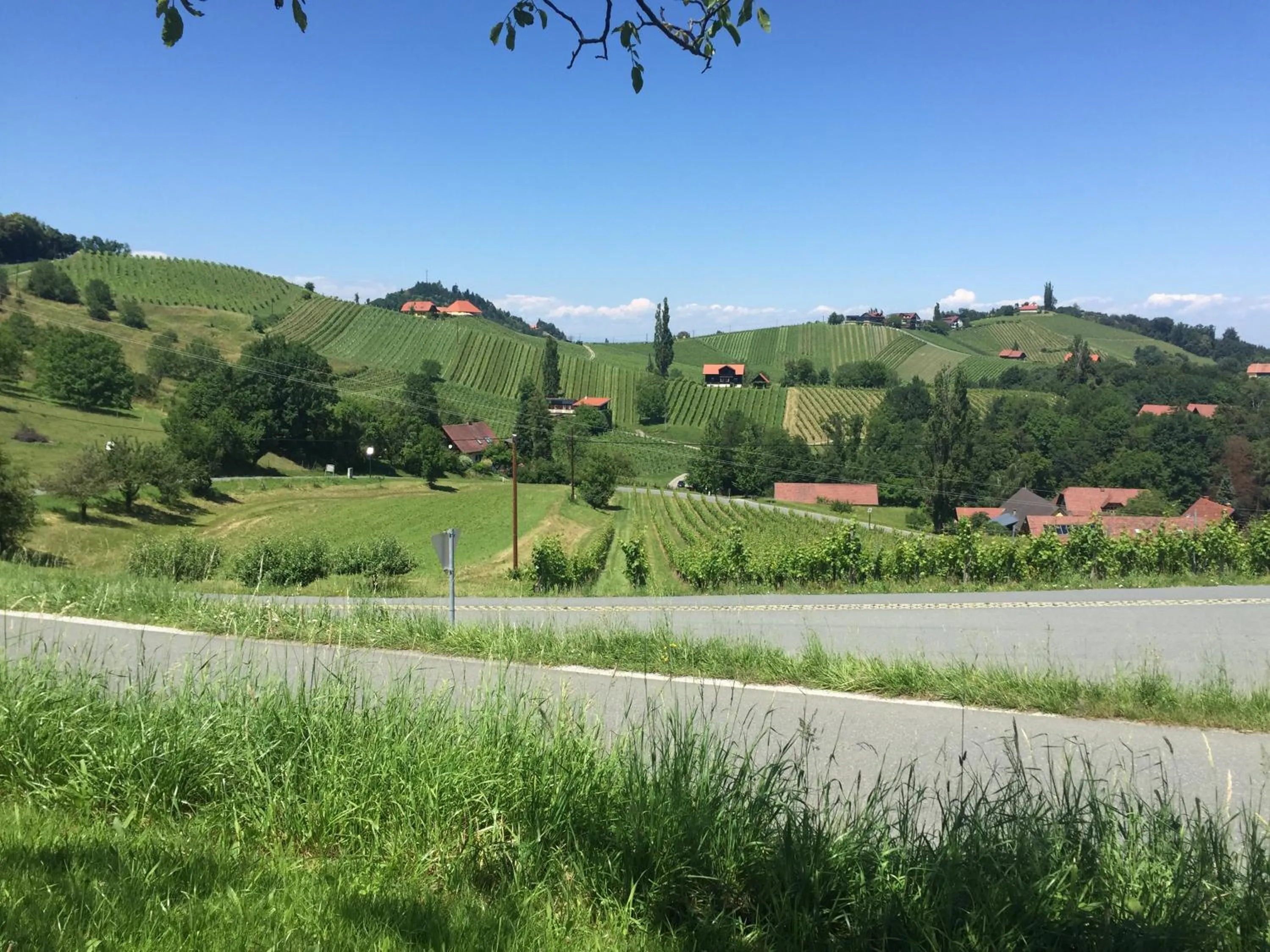 Natural landscape in Hotel am Marktplatz - Landgasthof Wratschko - Gamlitz
