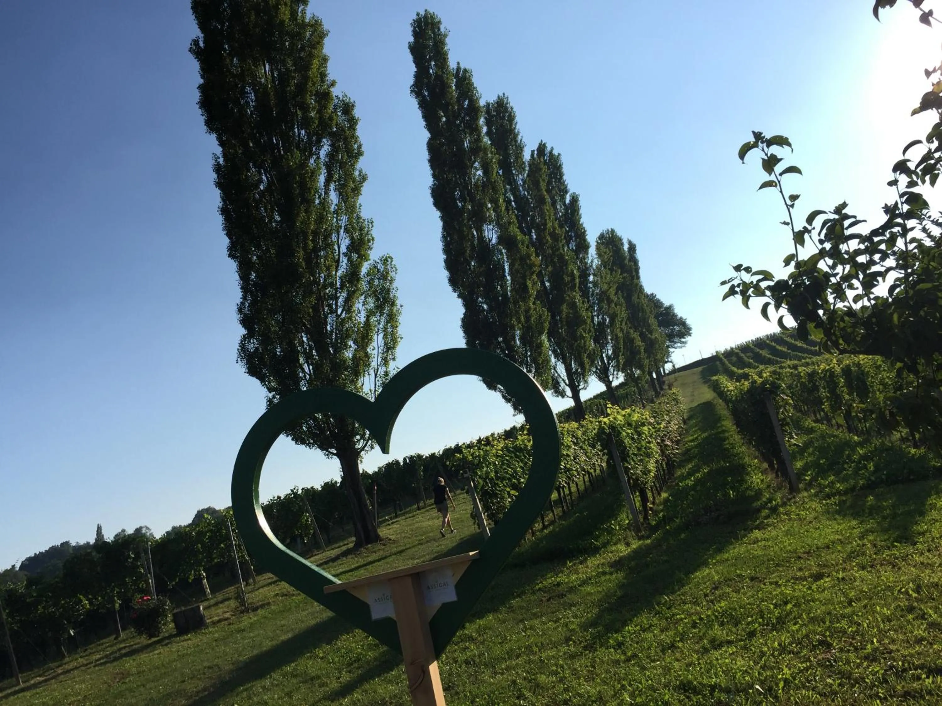 Hiking in Hotel am Marktplatz - Landgasthof Wratschko - Gamlitz