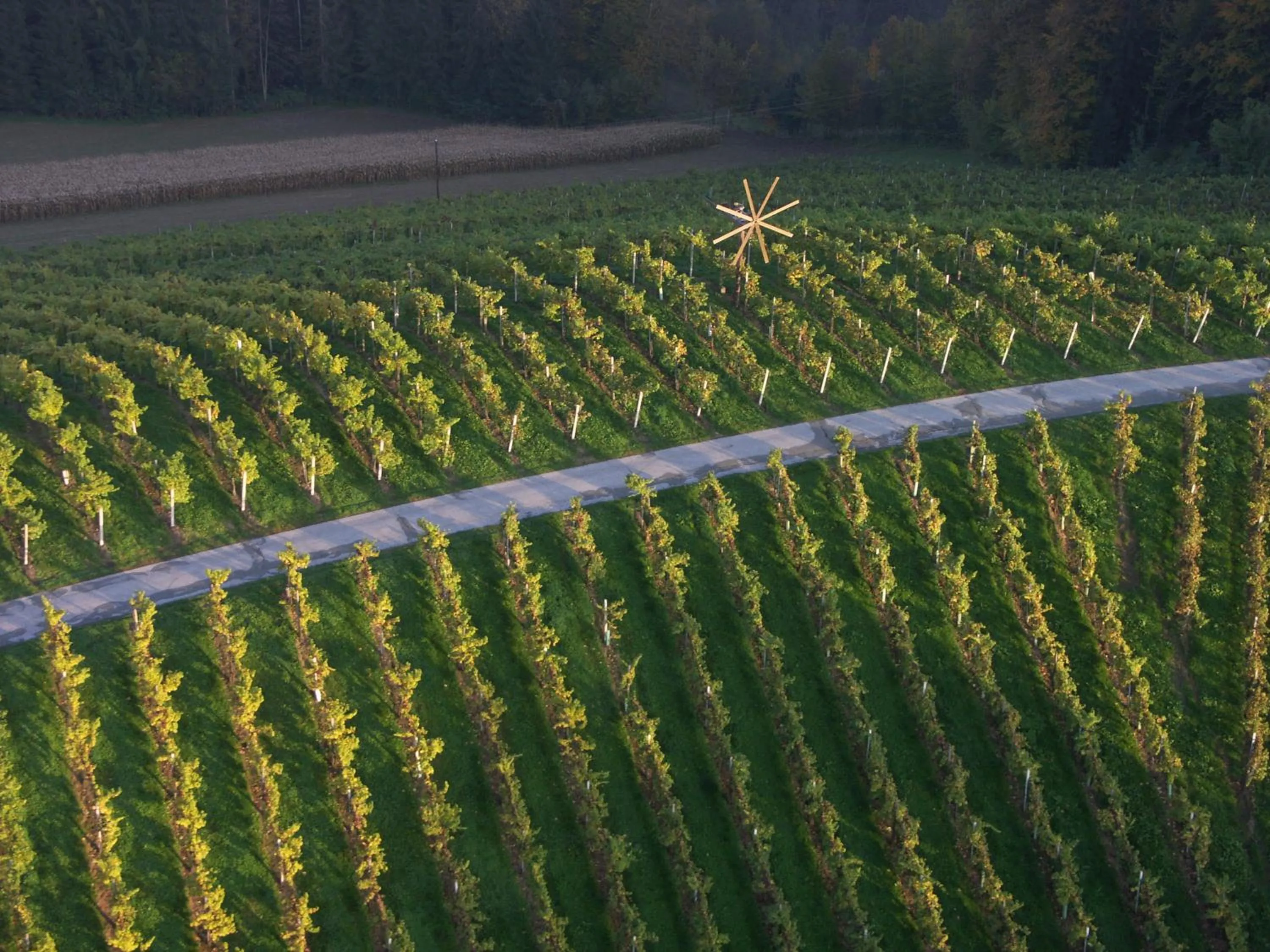 Area and facilities in Hotel am Marktplatz - Landgasthof Wratschko - Gamlitz