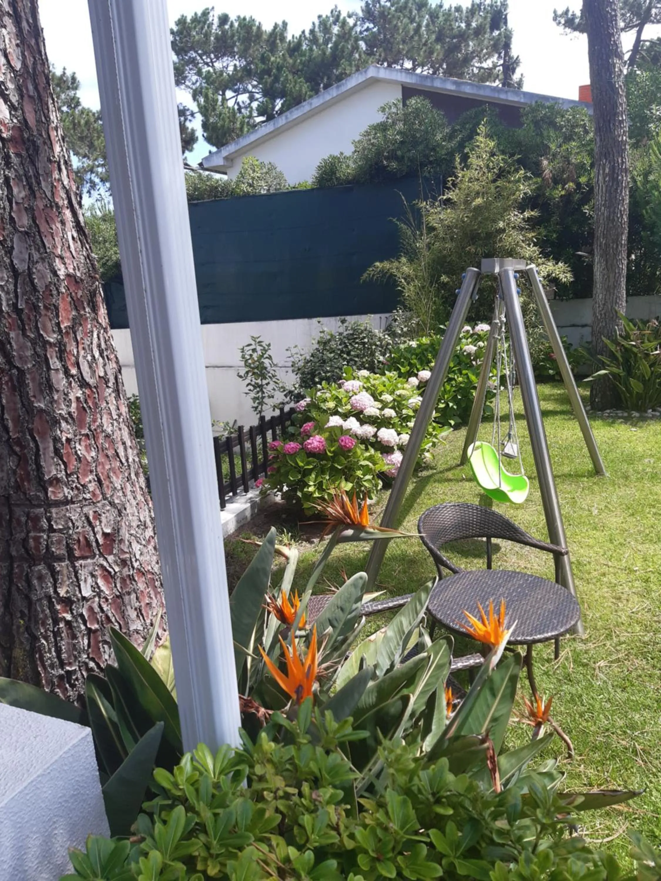 Kids's club in Hotel Verde Pinho Bed&Breakfast