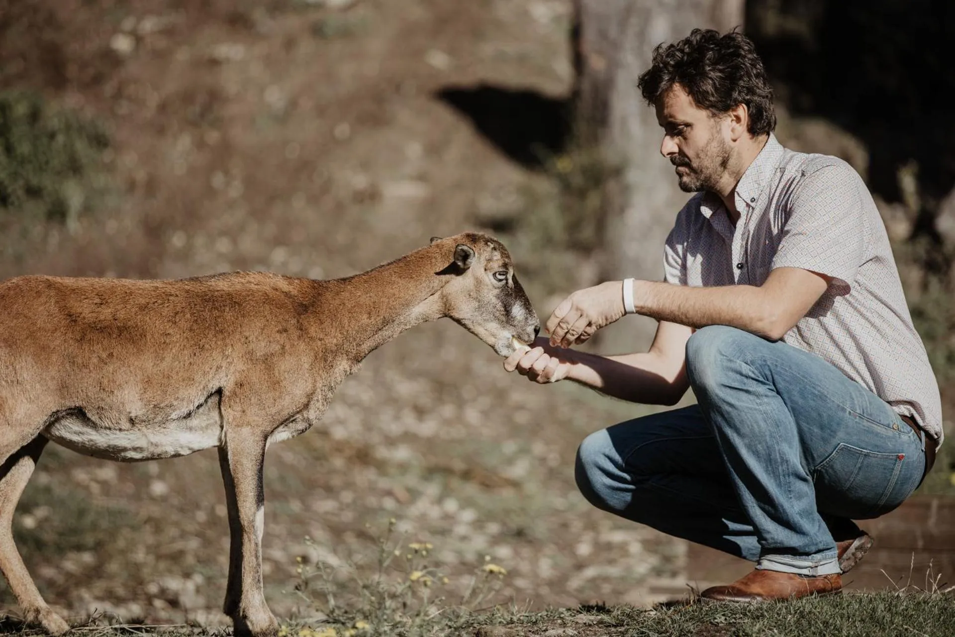 Garden in Parkhotel Matrei