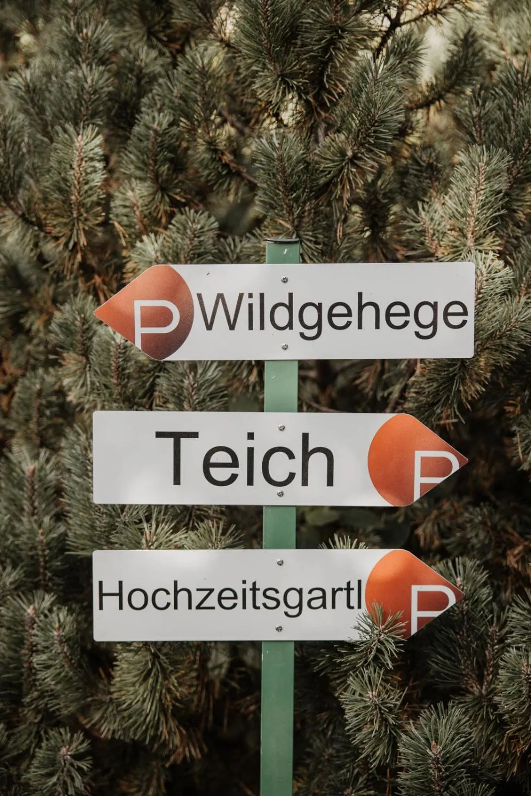 Garden in Parkhotel Matrei