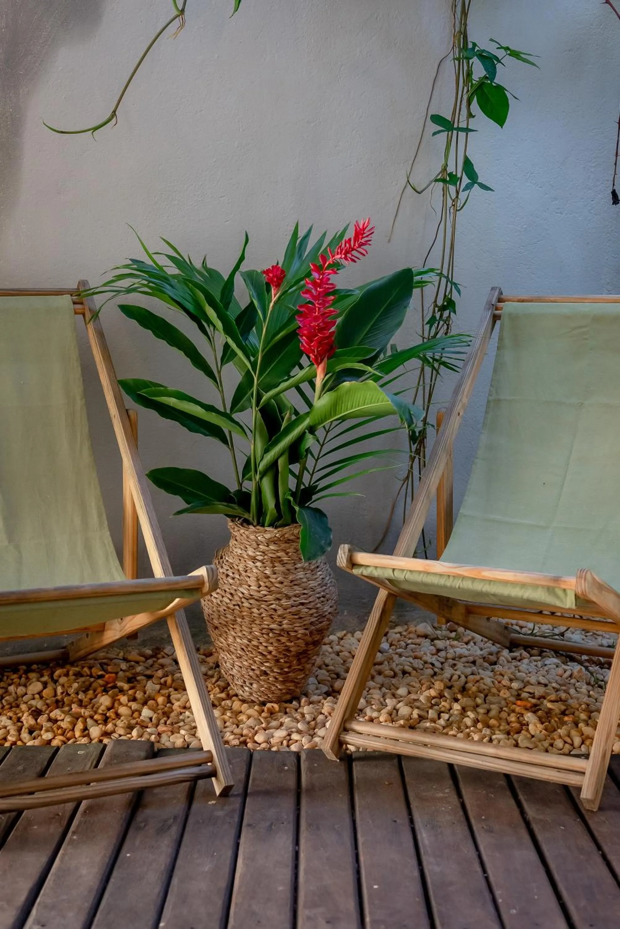 Pousada Bem Te Vi Trancoso