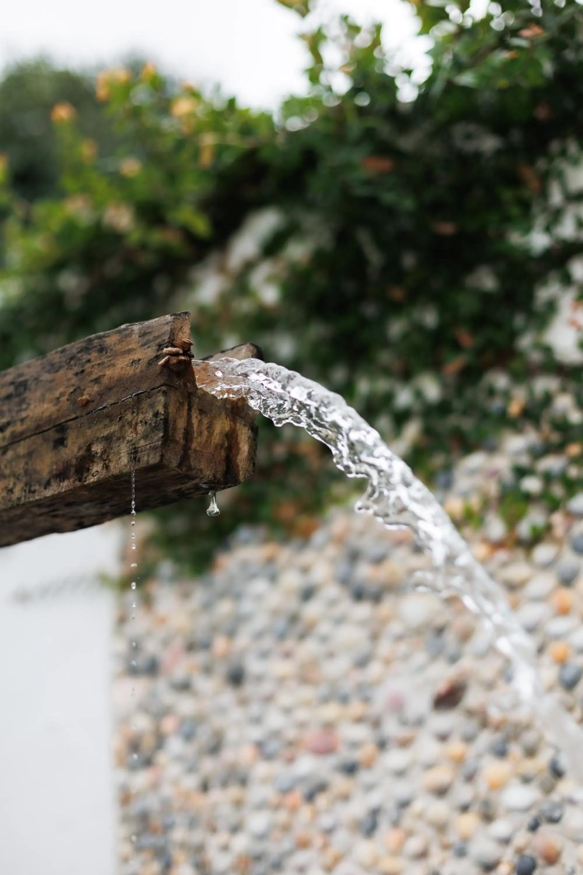 Pousada Bem Te Vi Trancoso