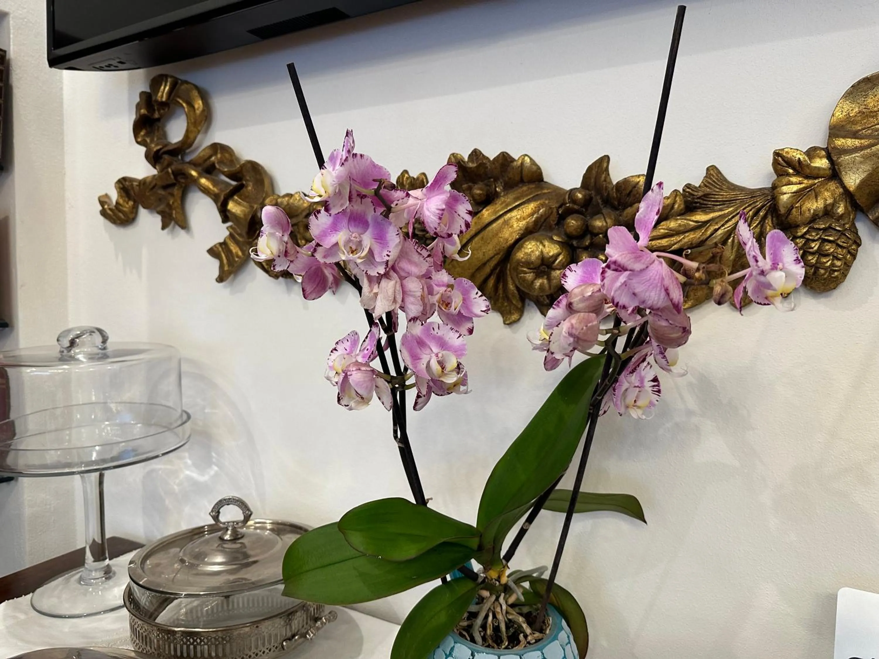 Communal lounge/ TV room in Domus Socolatae Residenza d'Epoca Charming B&B - Adults Only