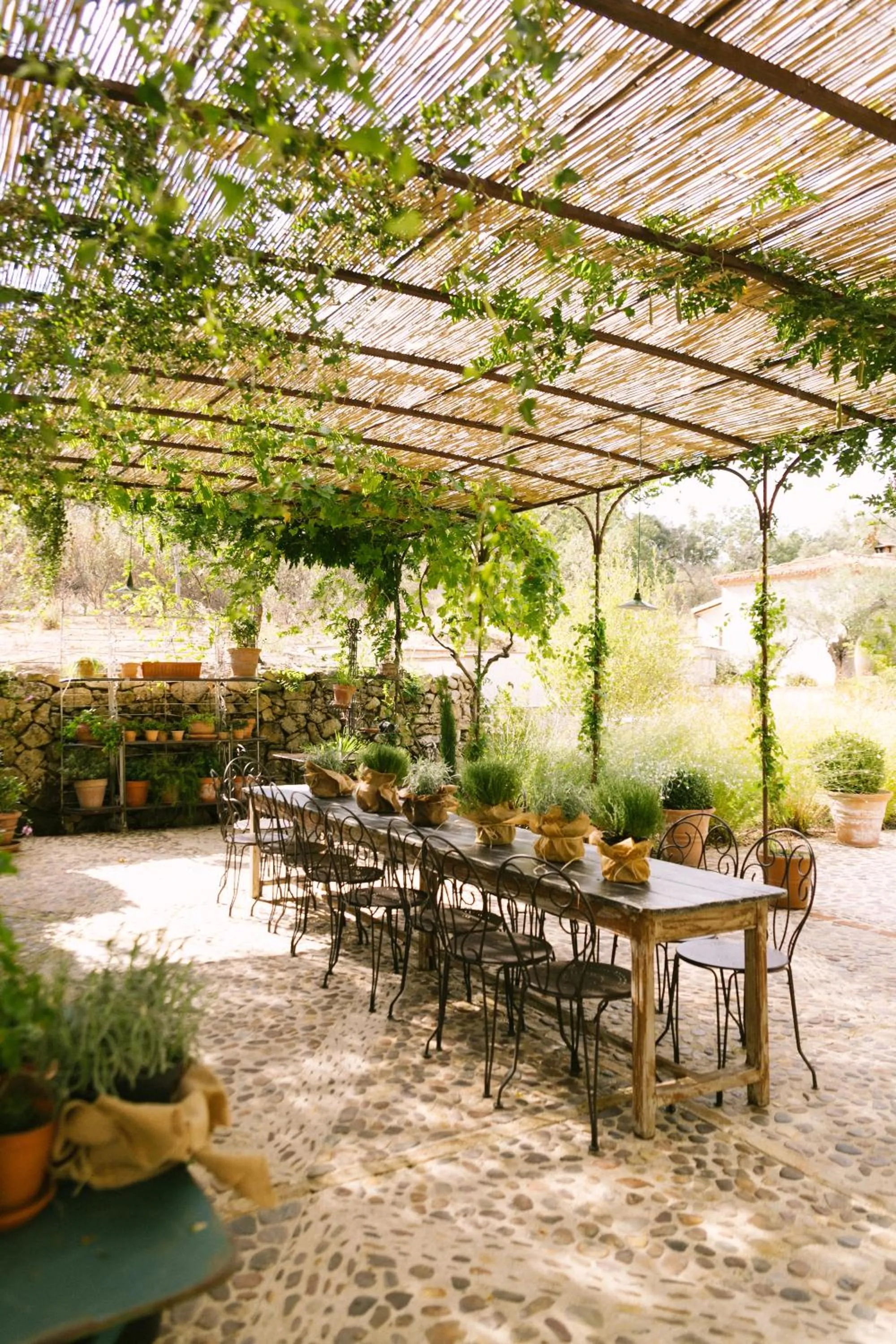 Garden in La Casa de los Tomillares