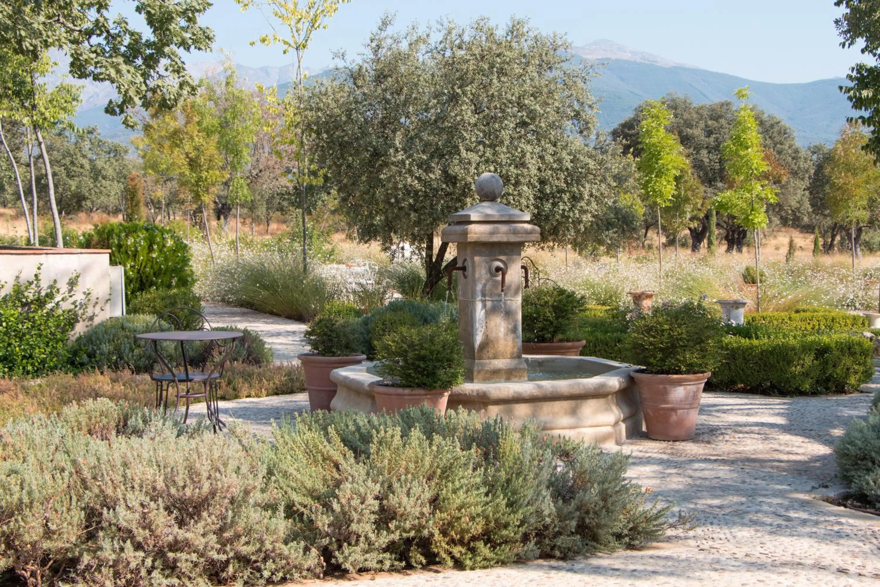 Natural landscape in La Casa de los Tomillares