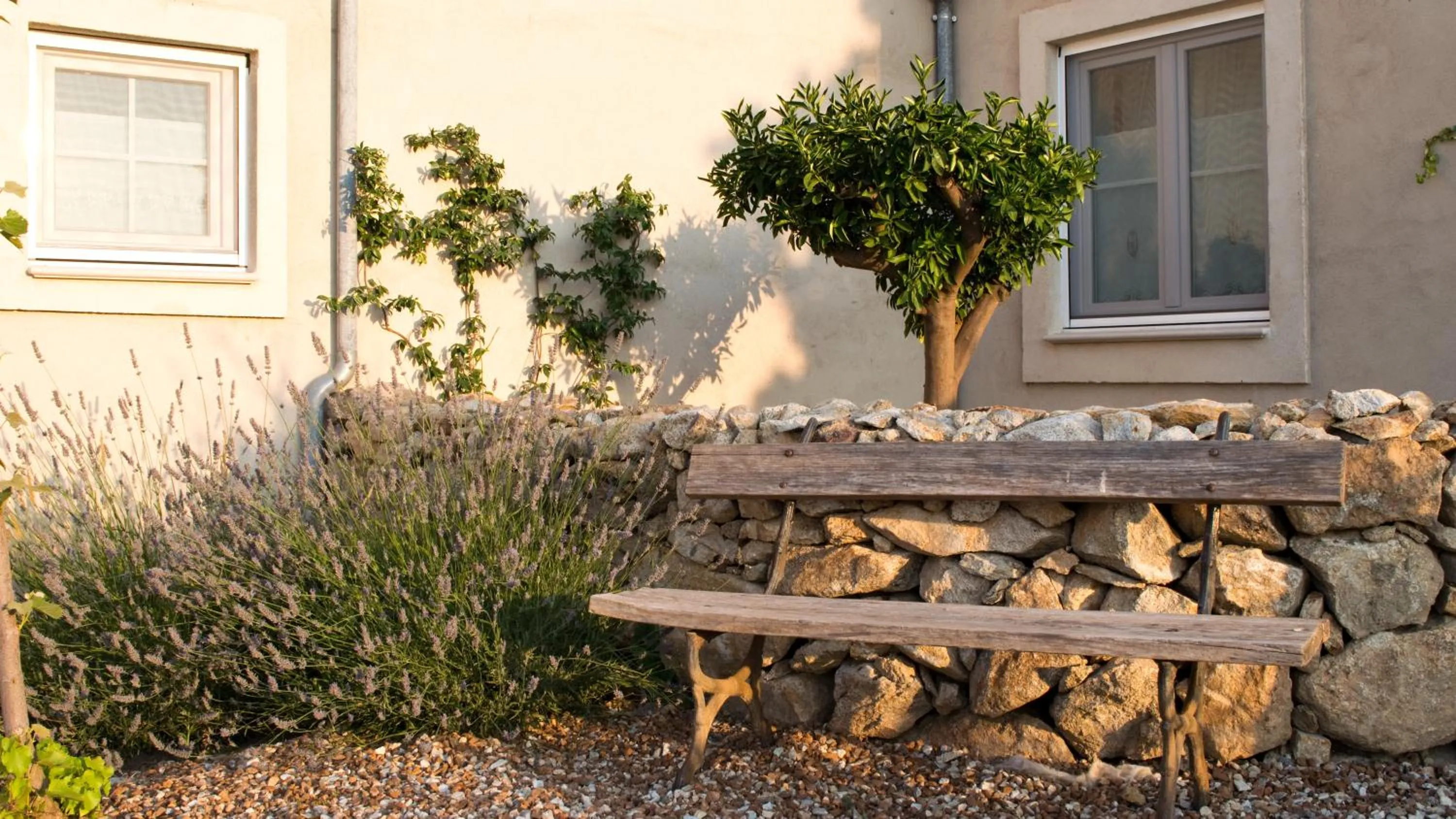 Garden in La Casa de los Tomillares