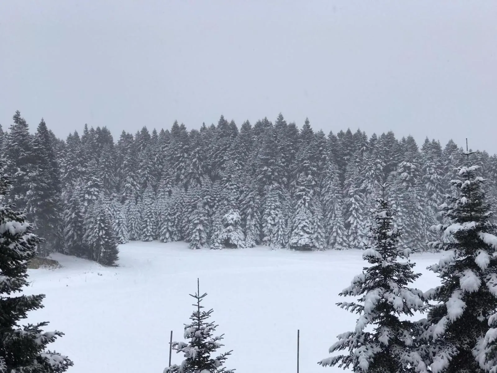 Property building in Elifim Resort Hotel