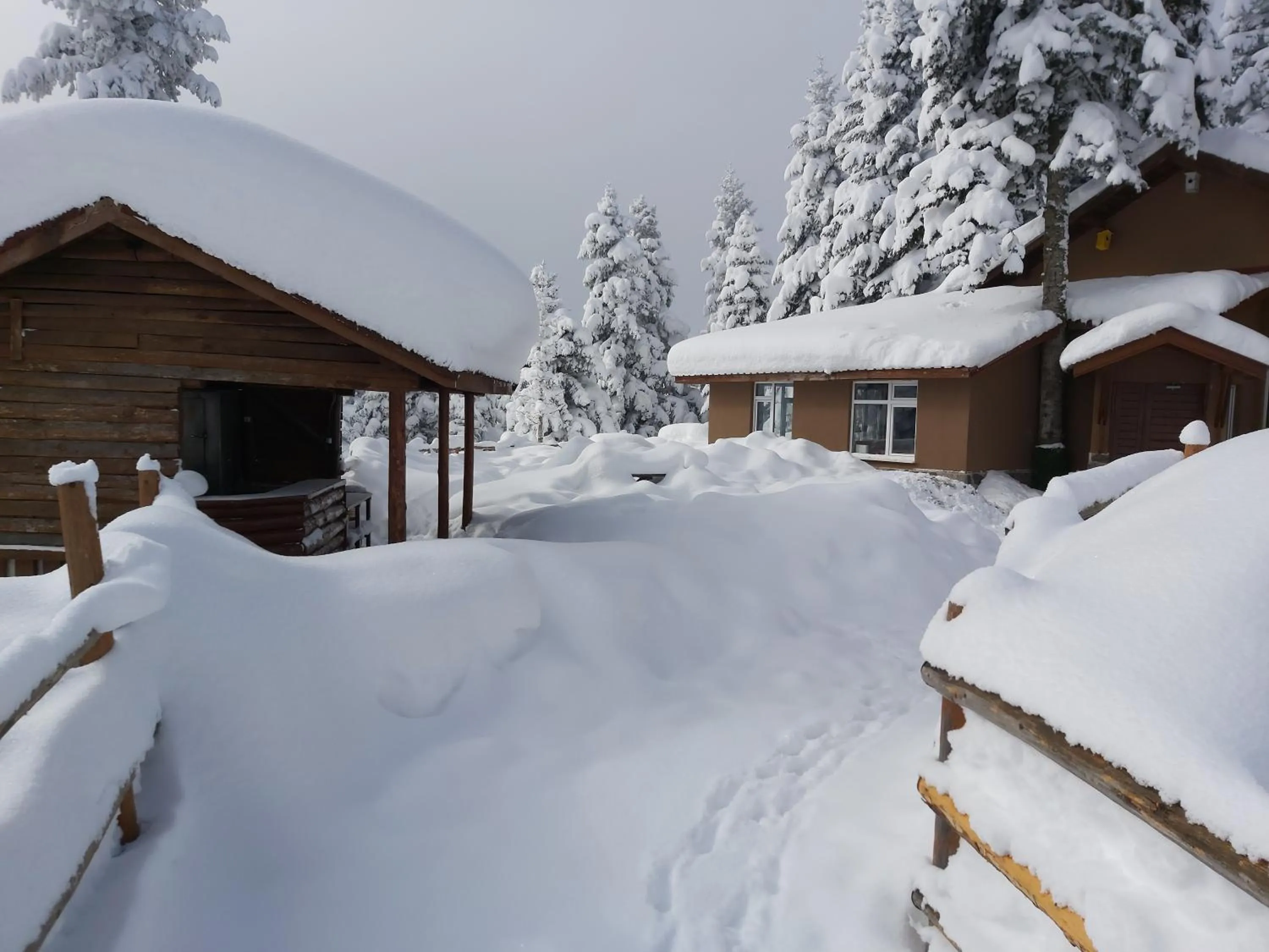 Winter in Elifim Resort Hotel