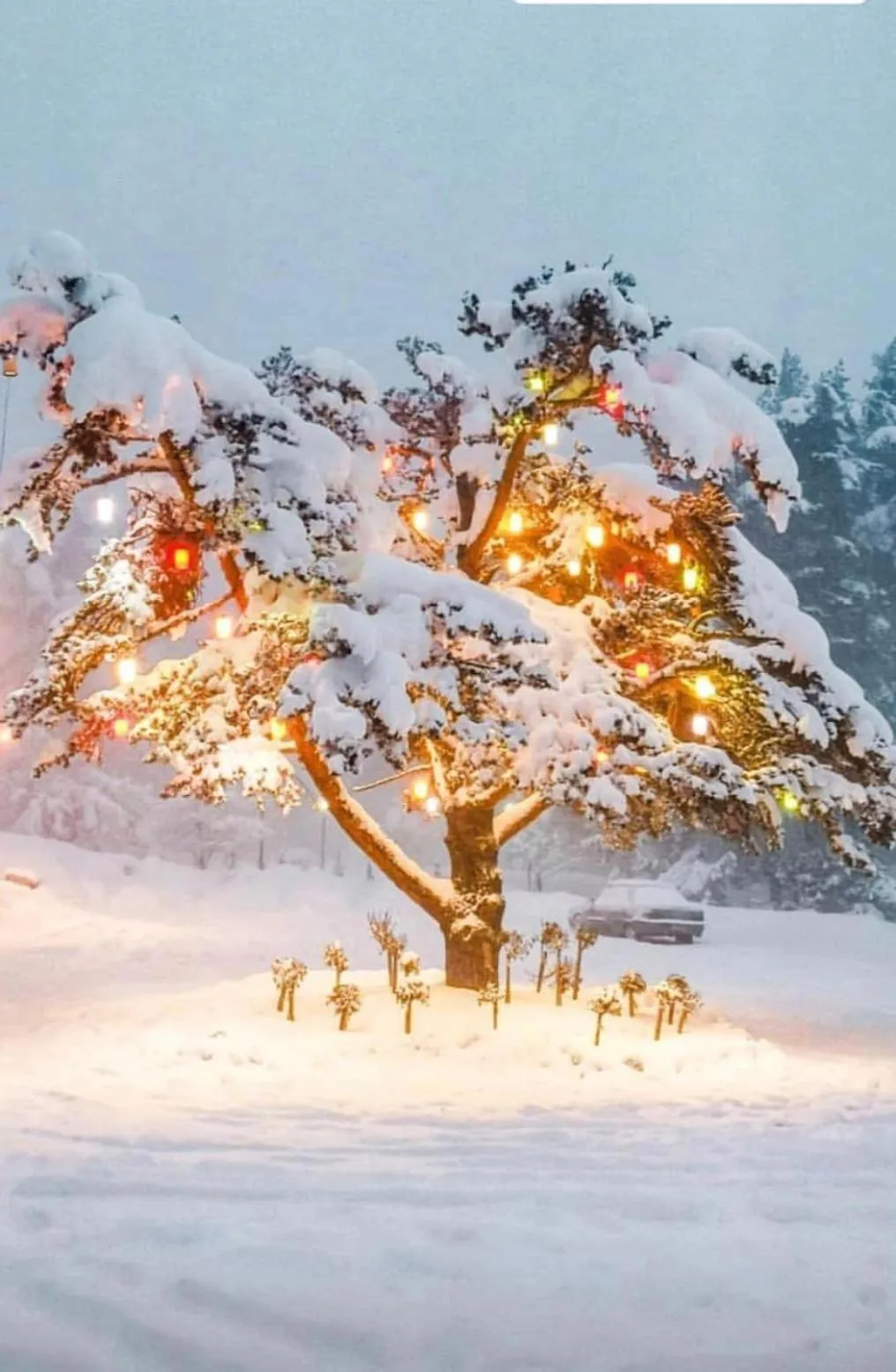 Property building in Elifim Resort Hotel