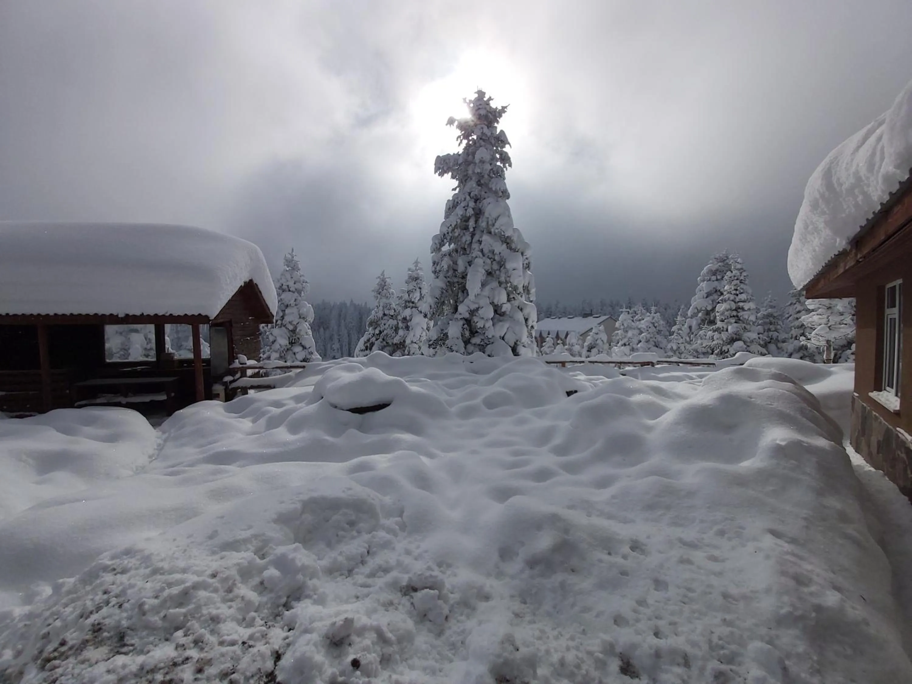 Ski School in Elifim Resort Hotel