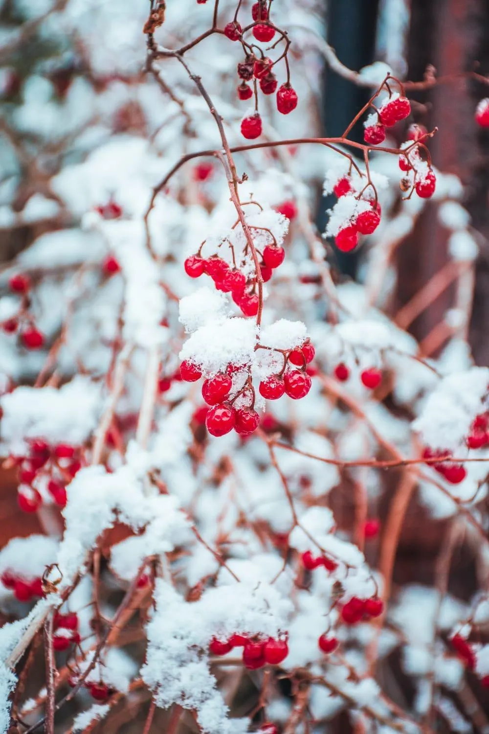 Property building in Elifim Resort Hotel