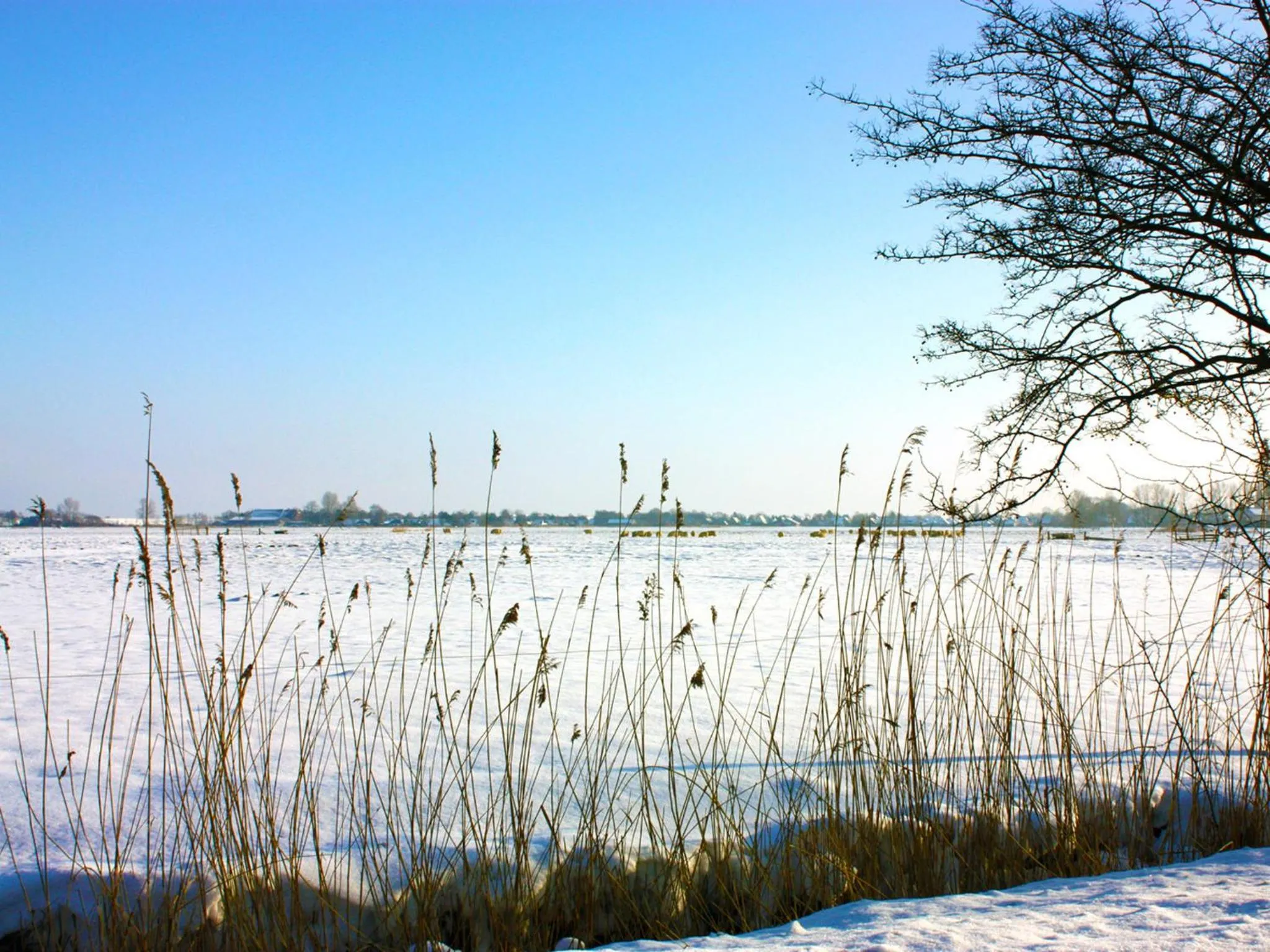 Neighbourhood in Hotel Zur Fischerklause