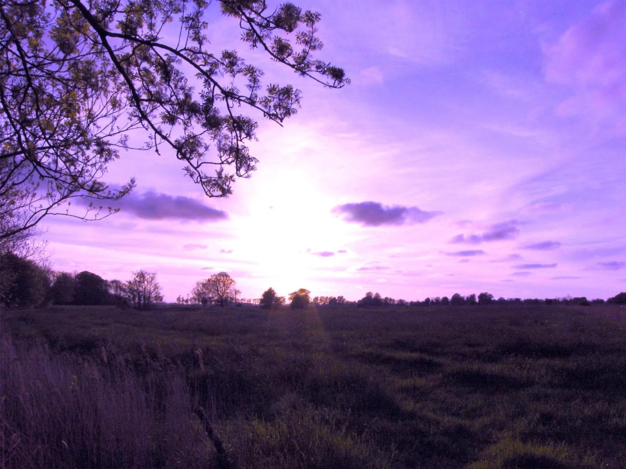 Off site in Hotel Zur Fischerklause