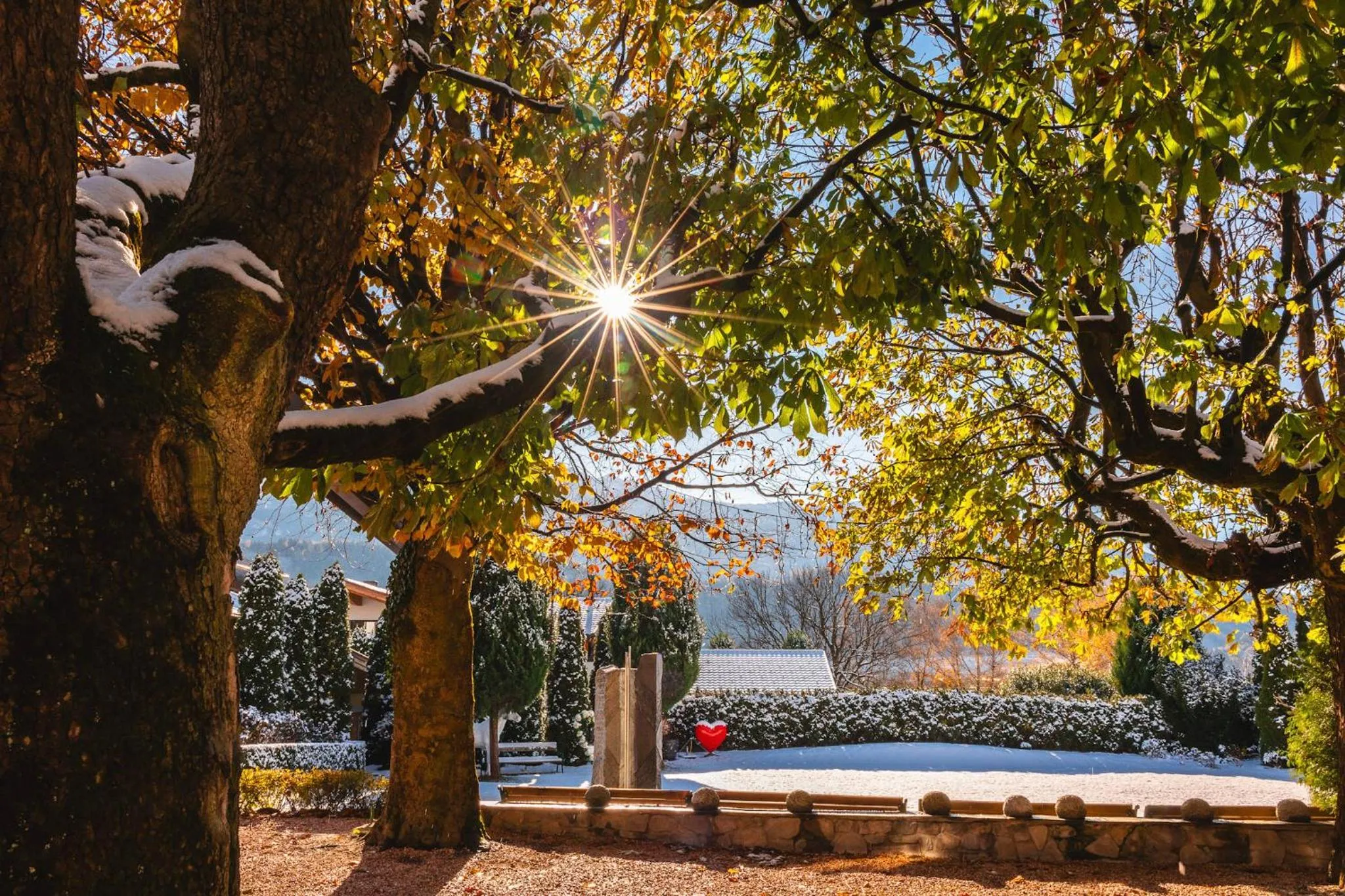Garden in Gartenhotel Maria Theresia