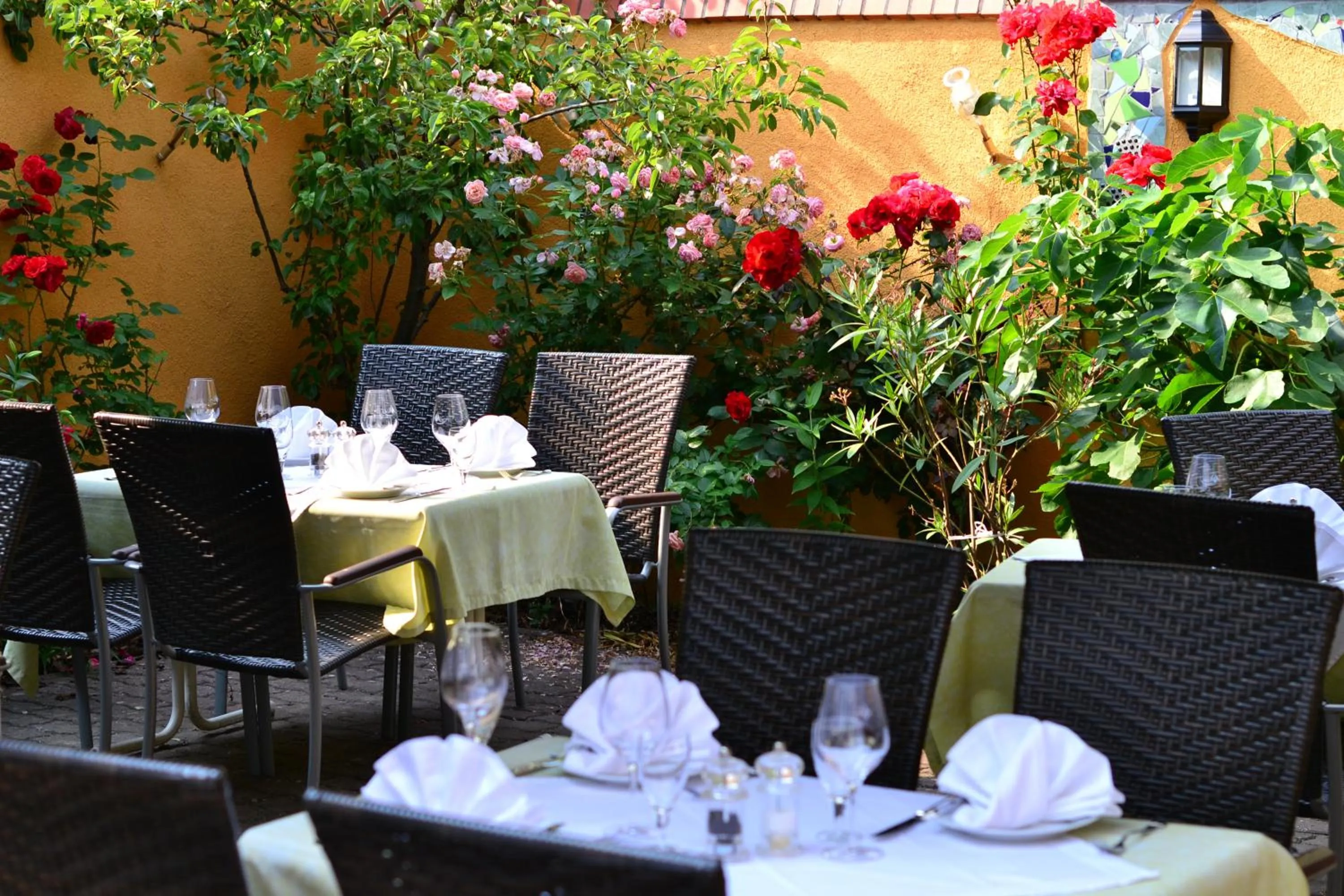 Patio in Restaurant & Hotel Olive