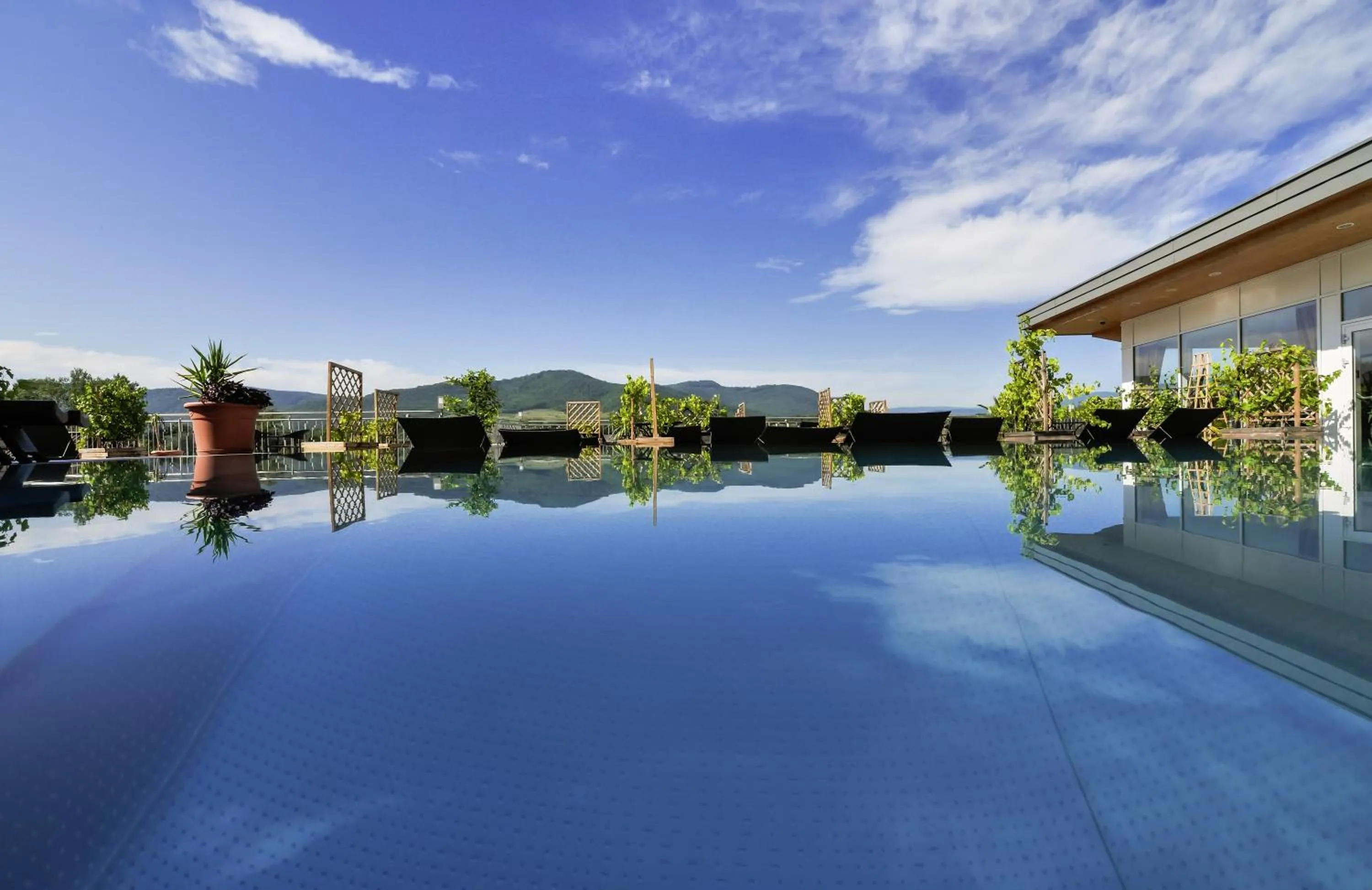 Swimming pool in Gartenhotel & Weingut Pfeffel Dürnstein