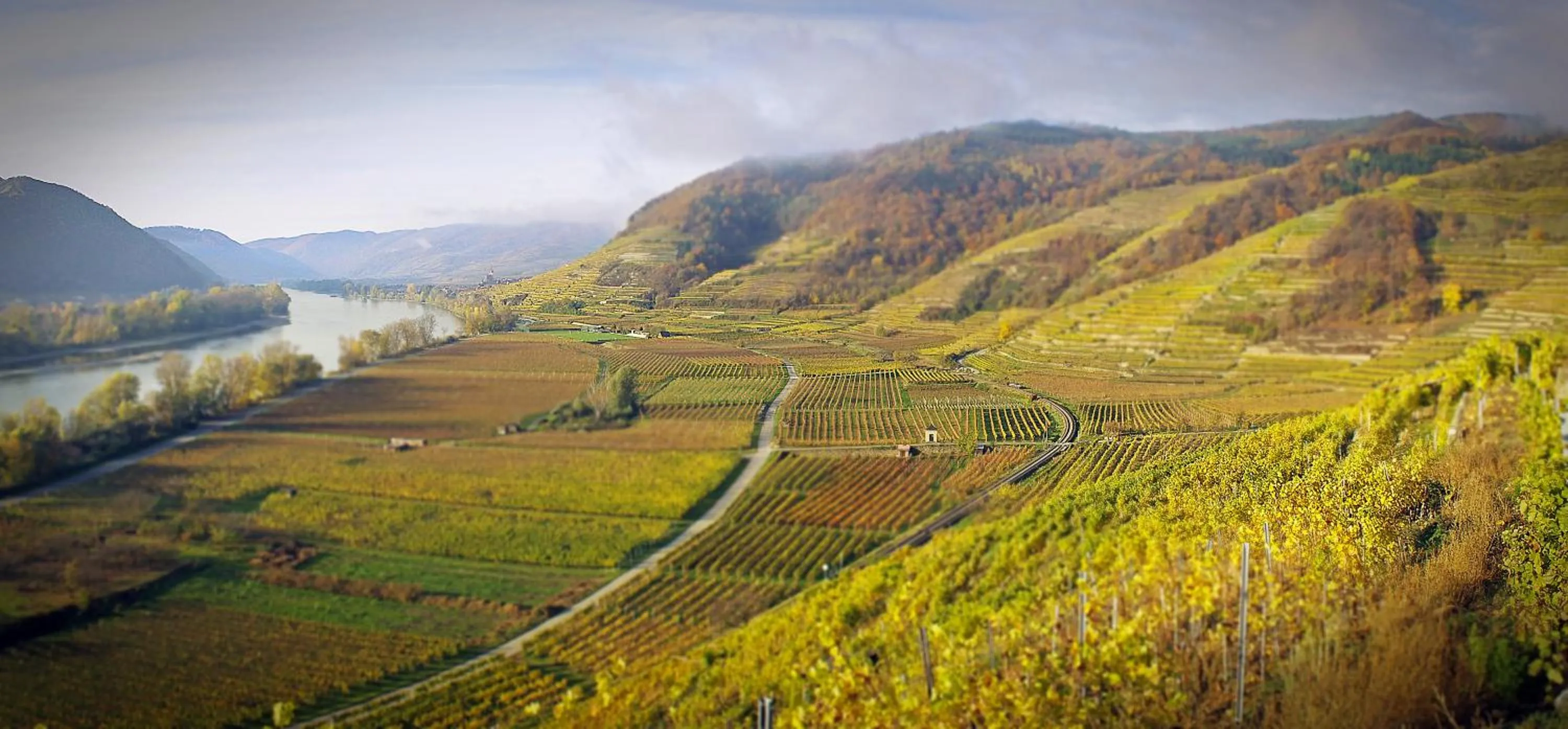 Natural landscape in Gartenhotel & Weingut Pfeffel Dürnstein