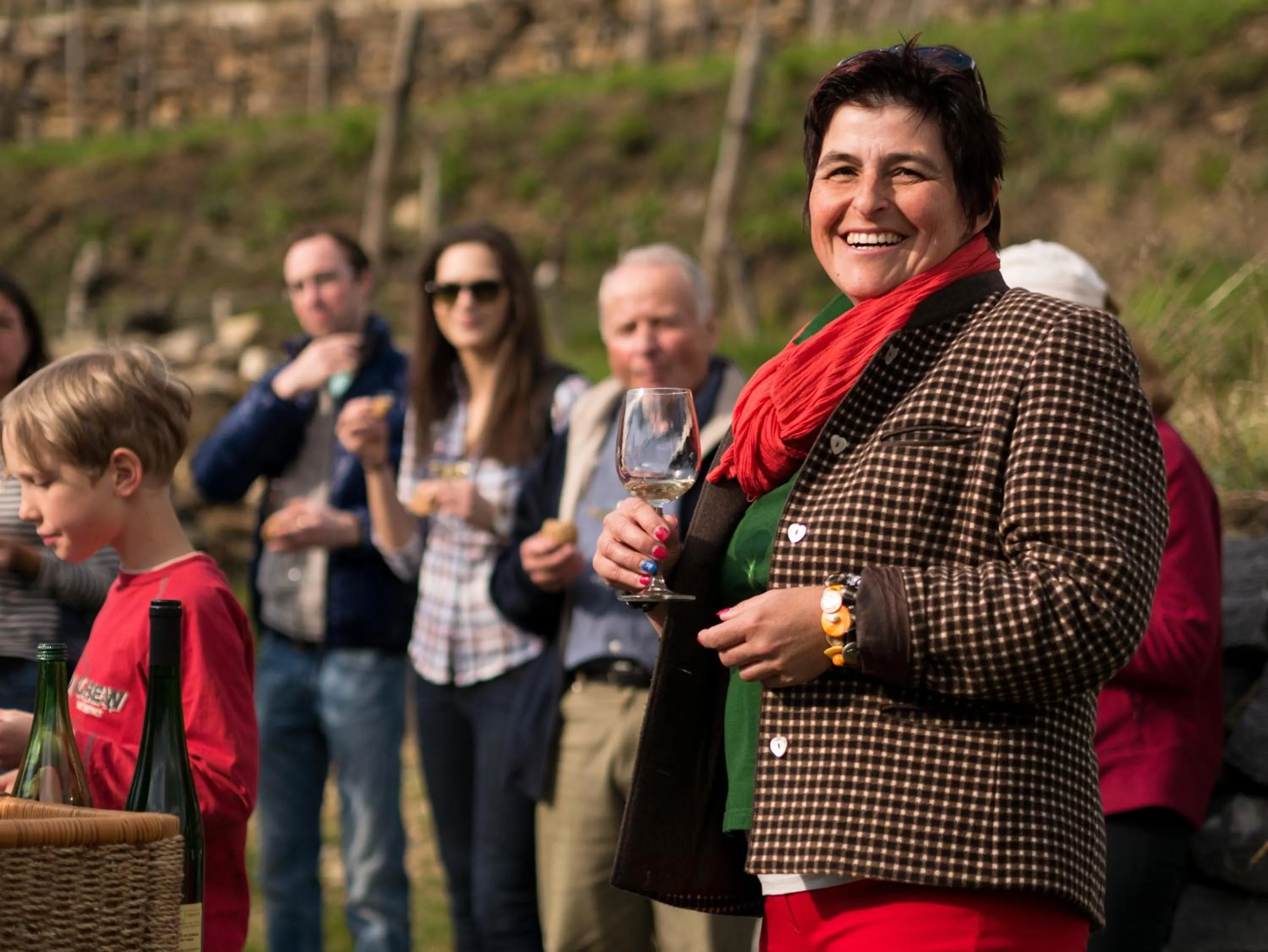 Natural landscape in Gartenhotel & Weingut Pfeffel Dürnstein
