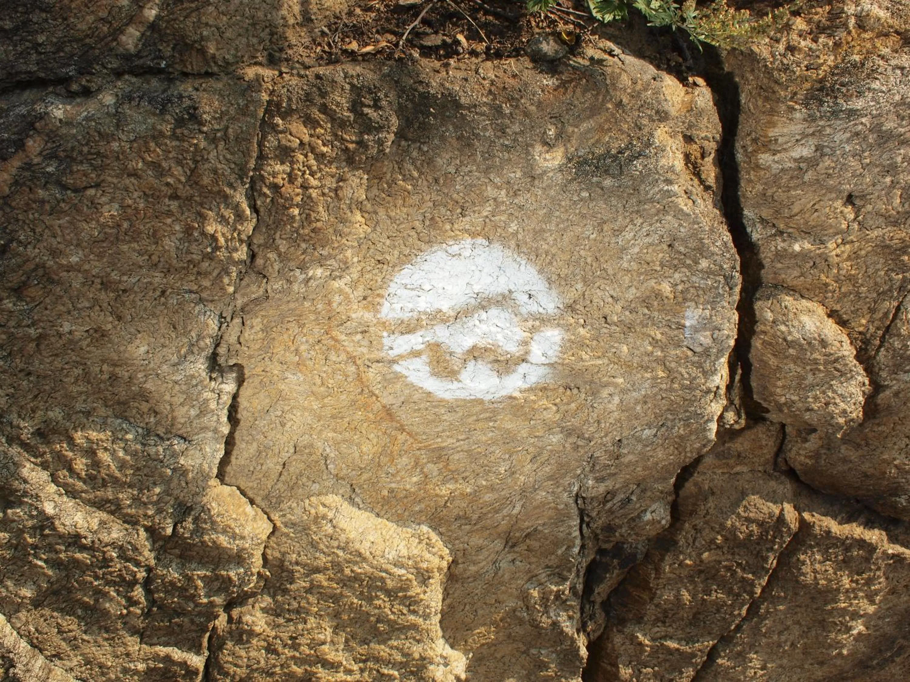 Nearby landmark in Gartenhotel & Weingut Pfeffel Dürnstein