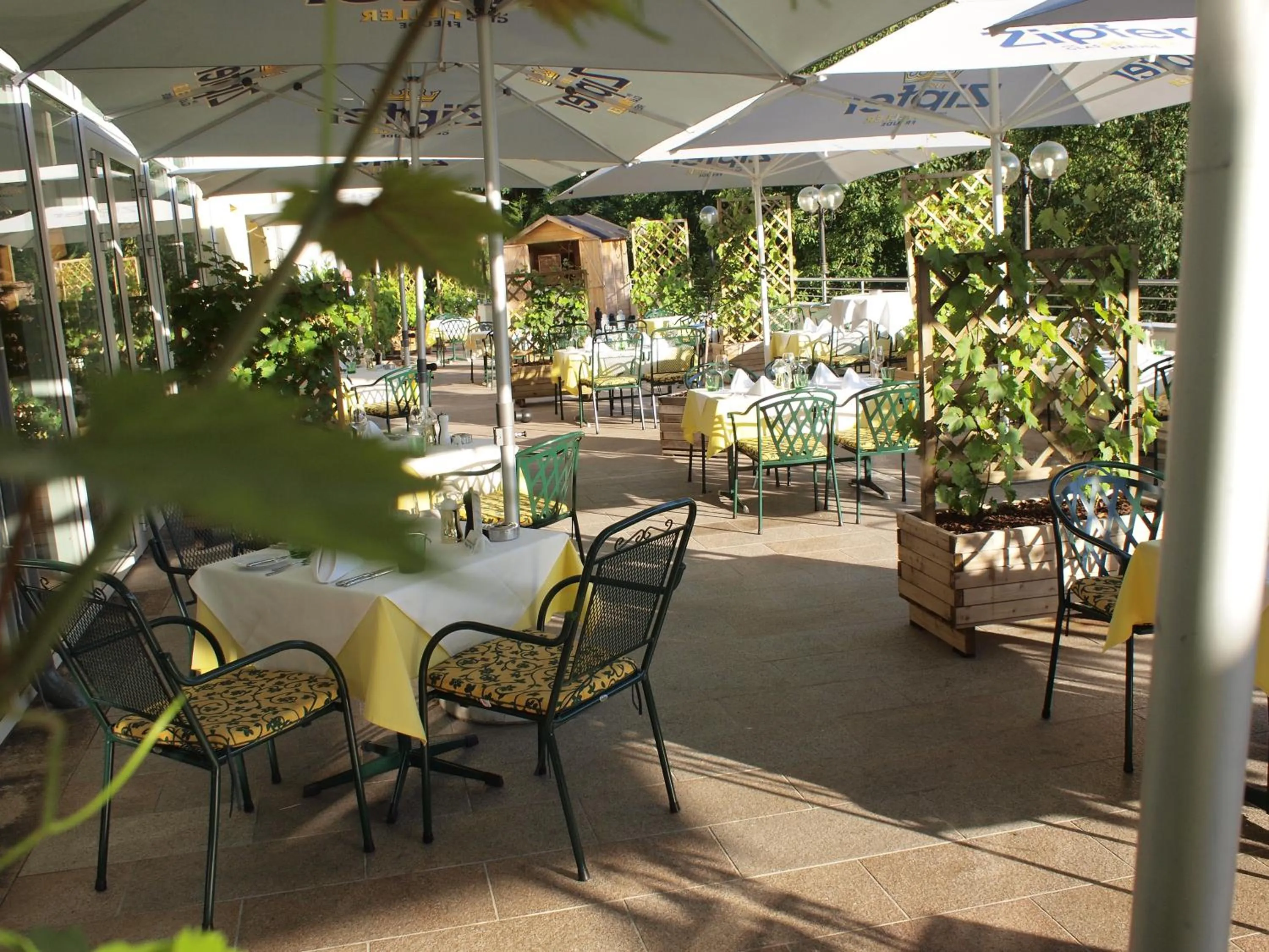 Balcony/Terrace in Gartenhotel & Weingut Pfeffel Dürnstein