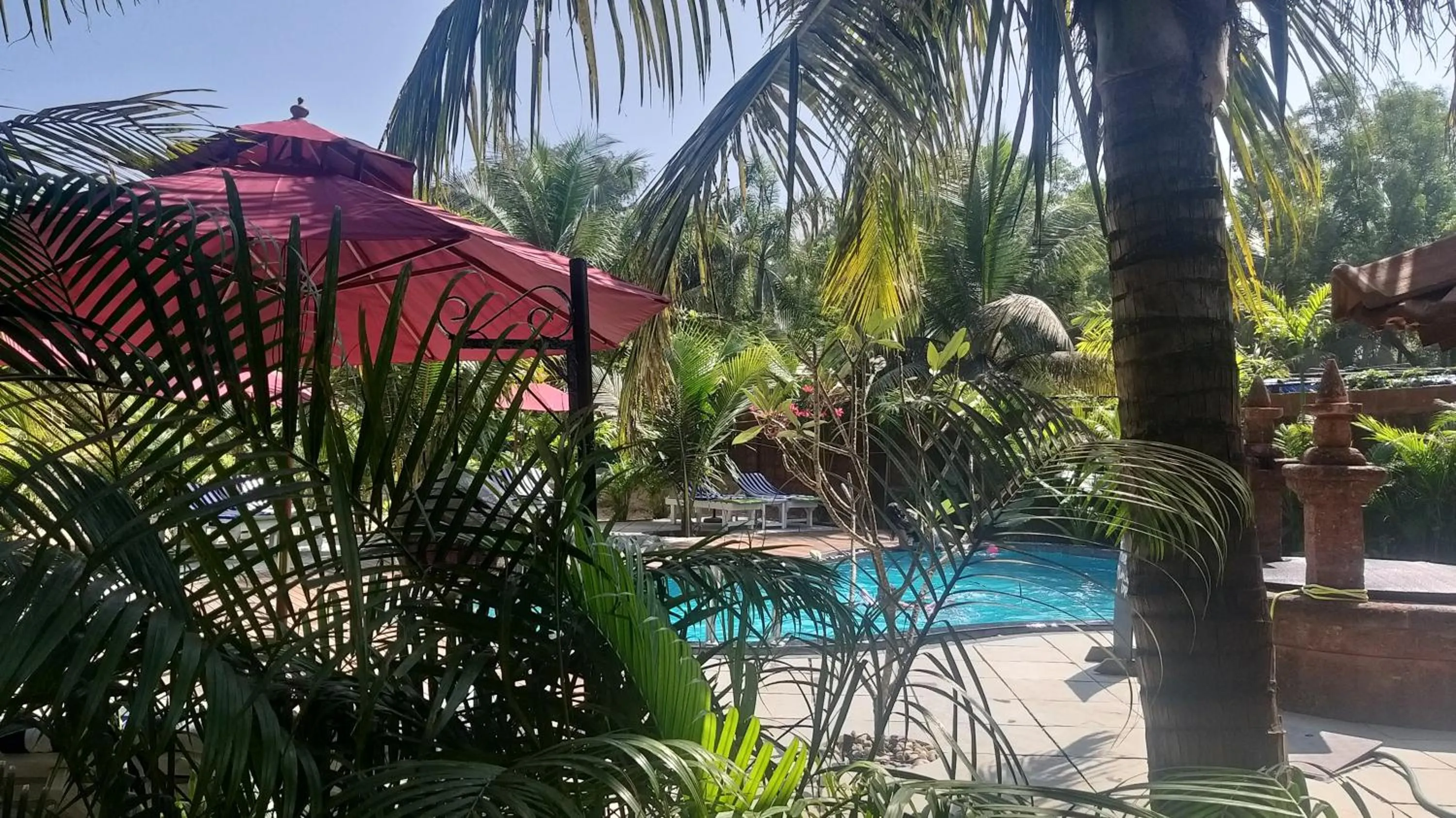 Swimming pool in Little India Beach Cottages