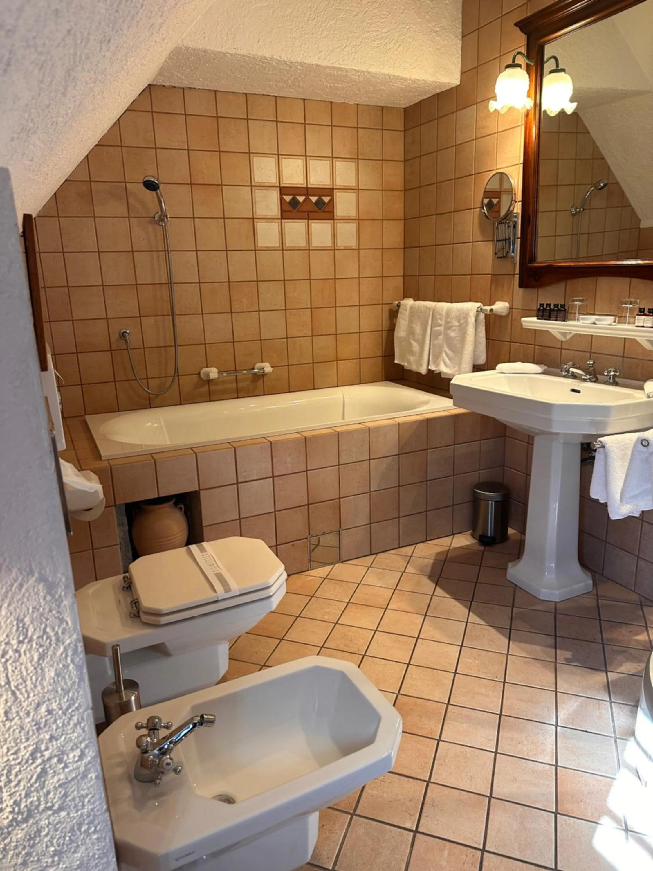 Toilet in Romantik Hotel U Raka