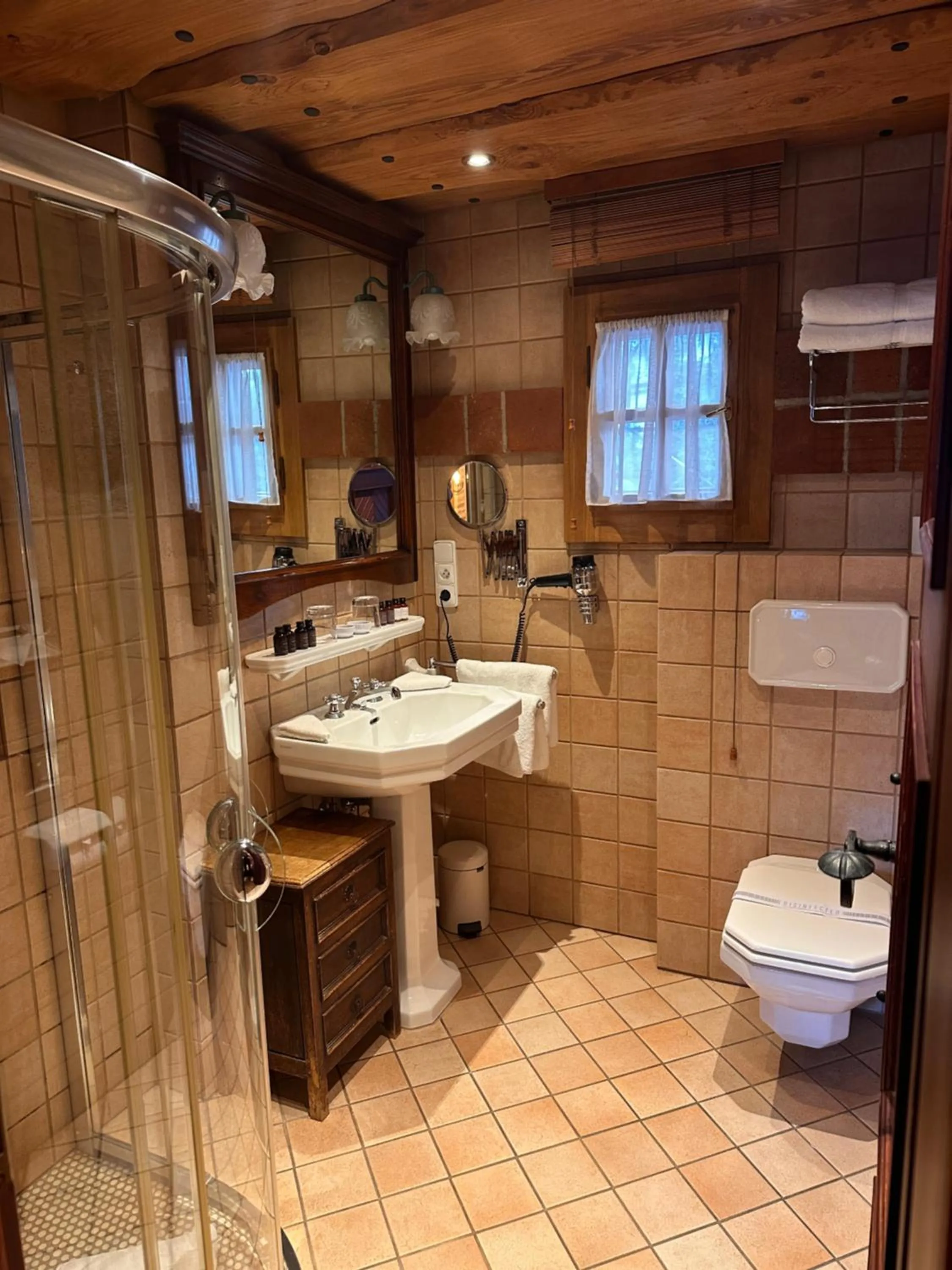 Shower in Romantik Hotel U Raka