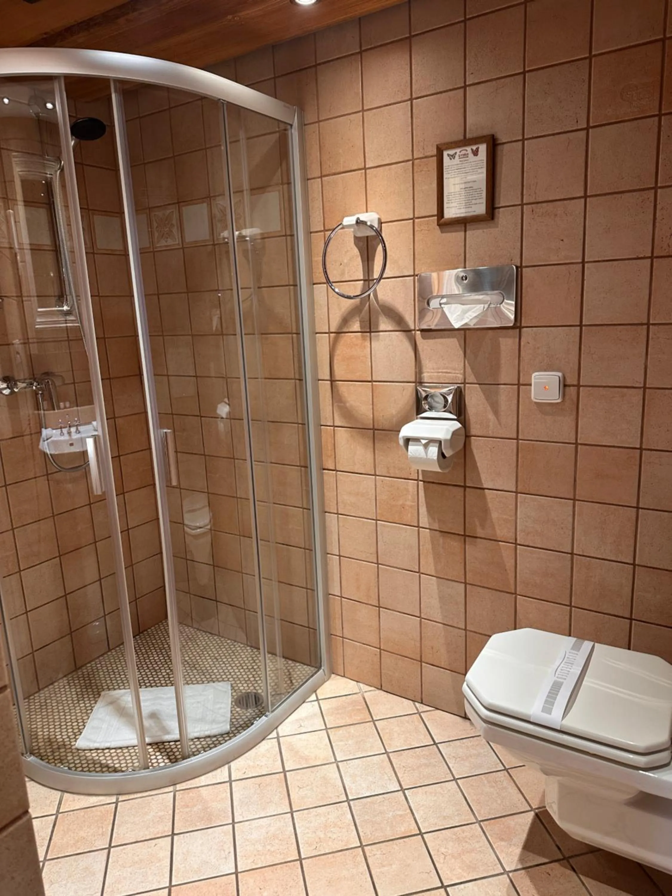 Shower in Romantik Hotel U Raka